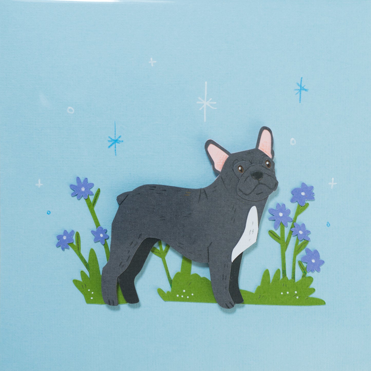 French Bulldogs