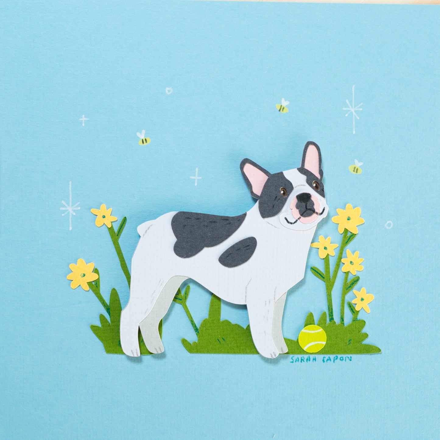 French Bulldogs