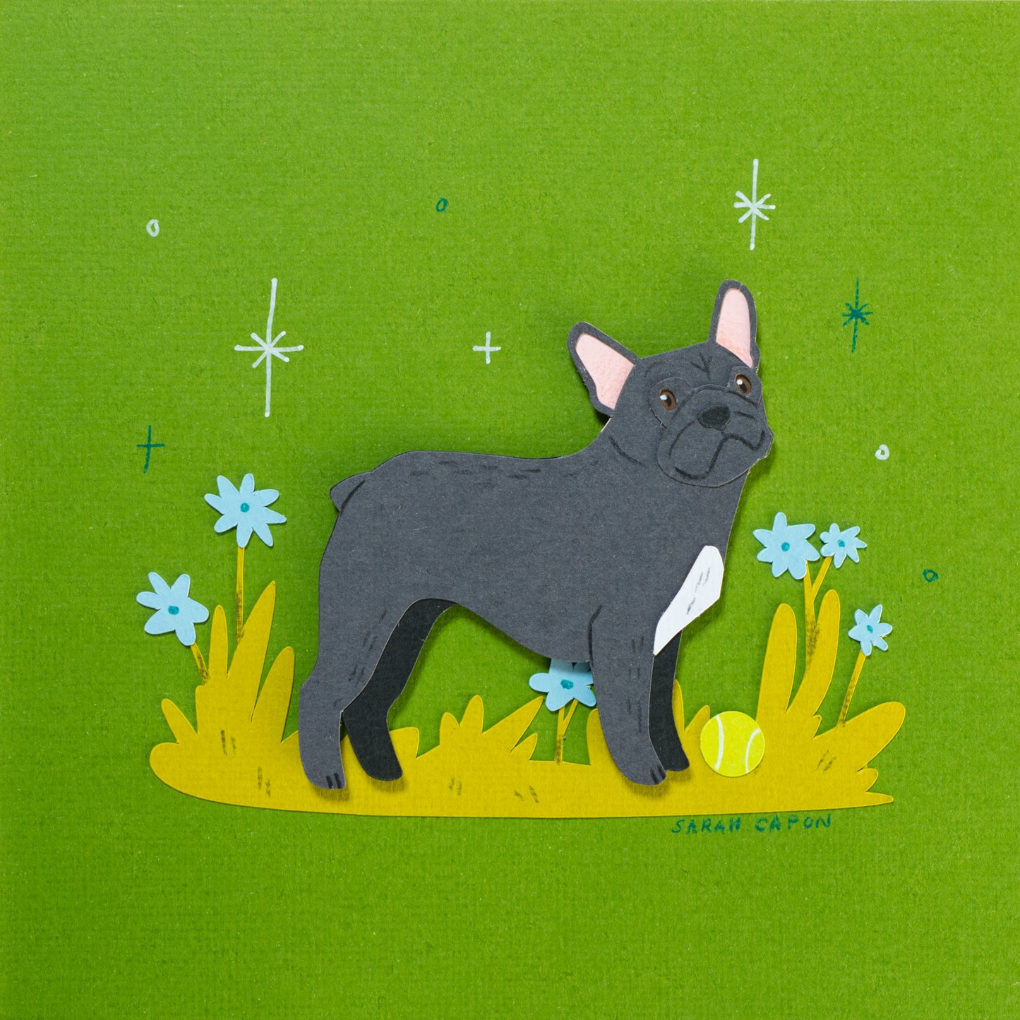 French Bulldogs