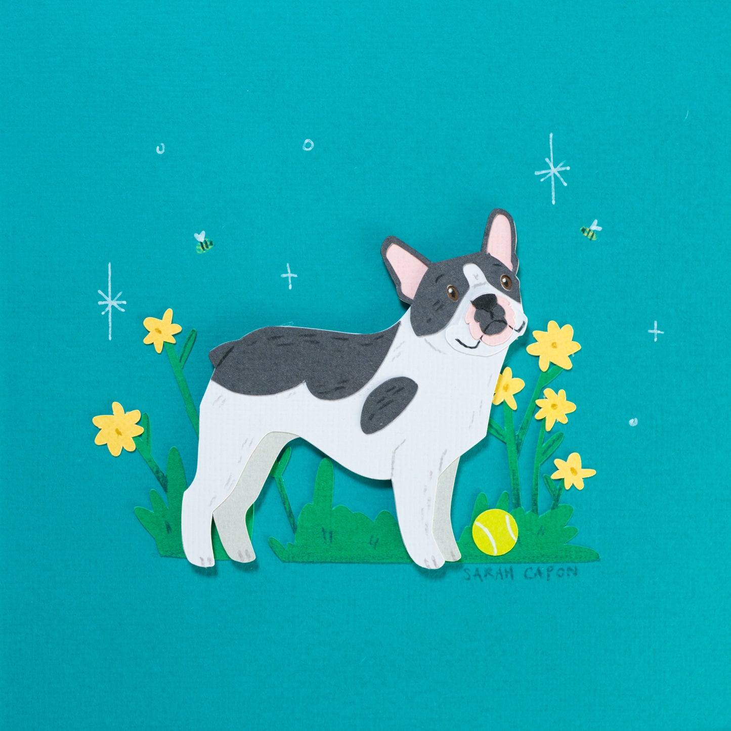 French Bulldogs