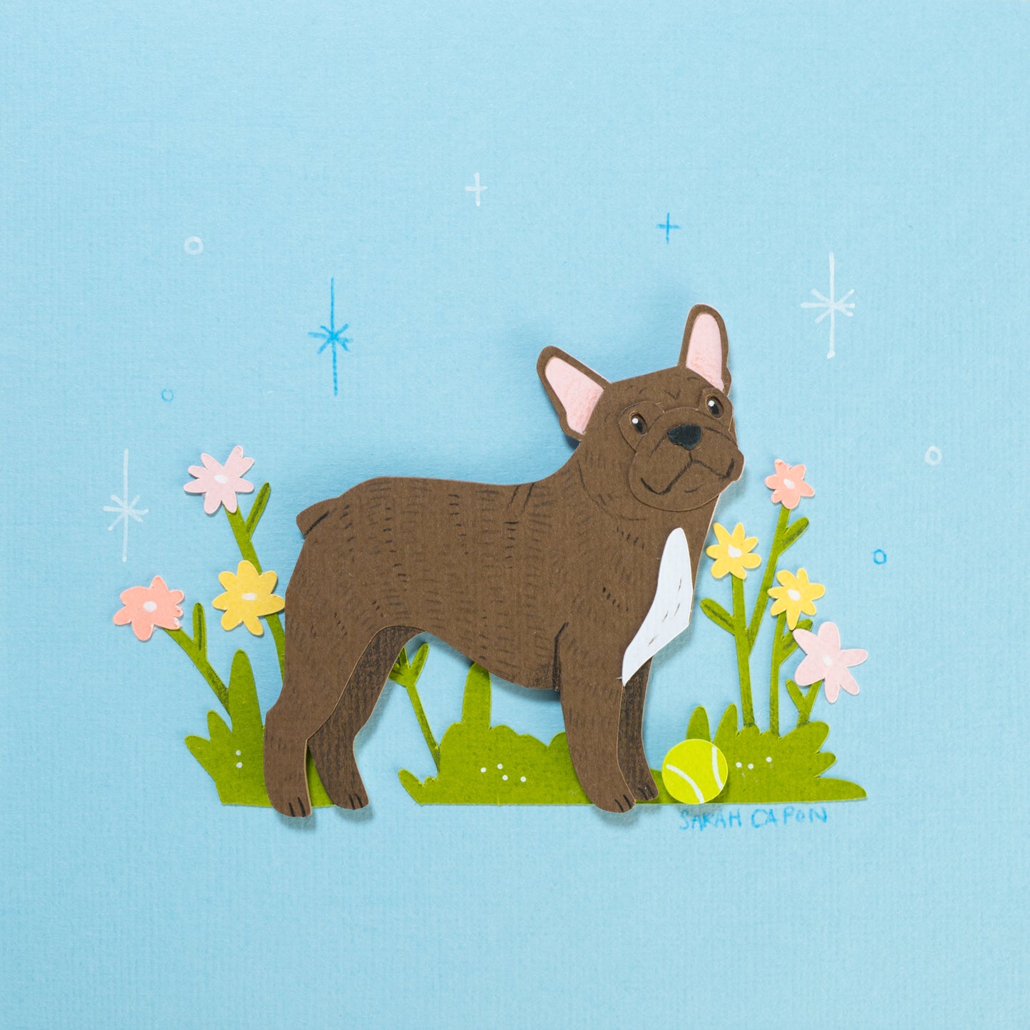 French Bulldogs