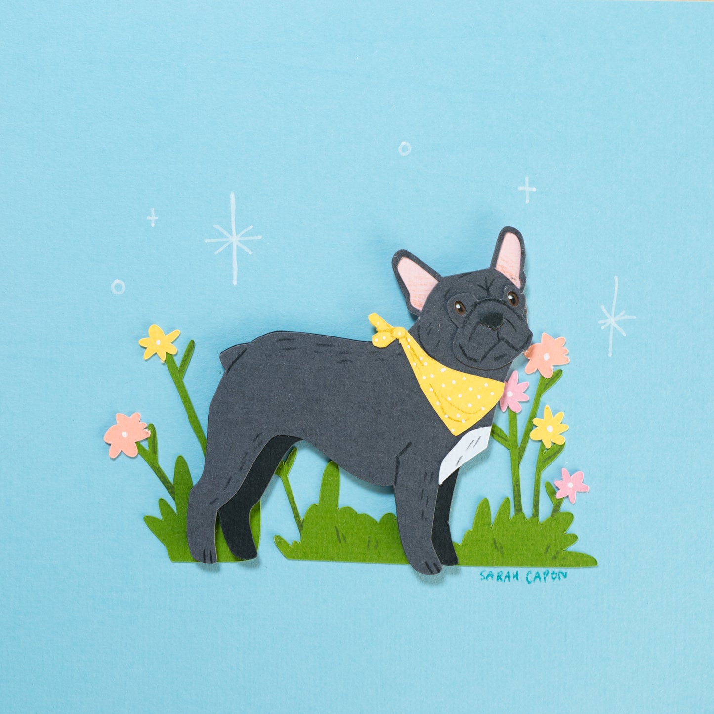 French Bulldogs