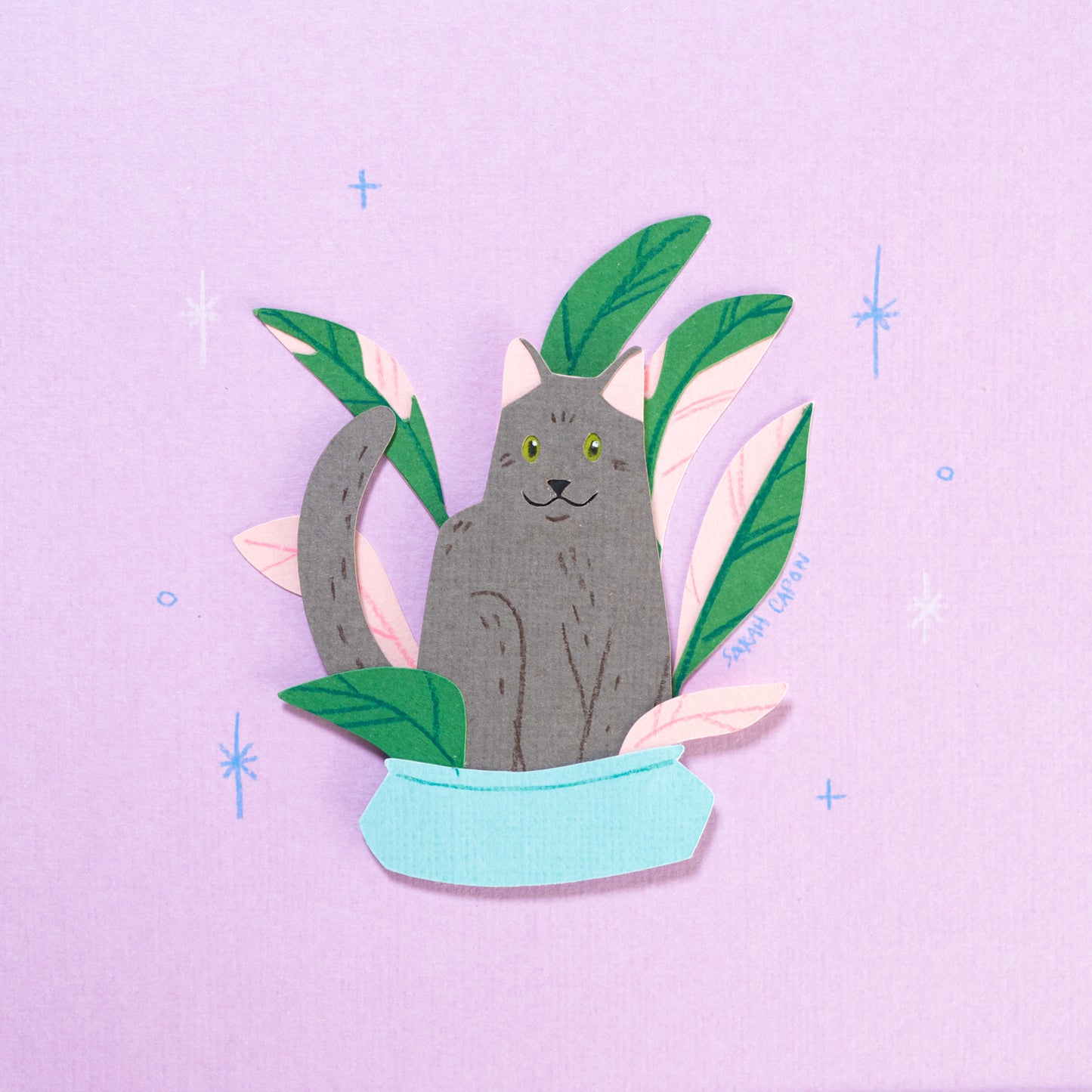 Grey Cats in Plants