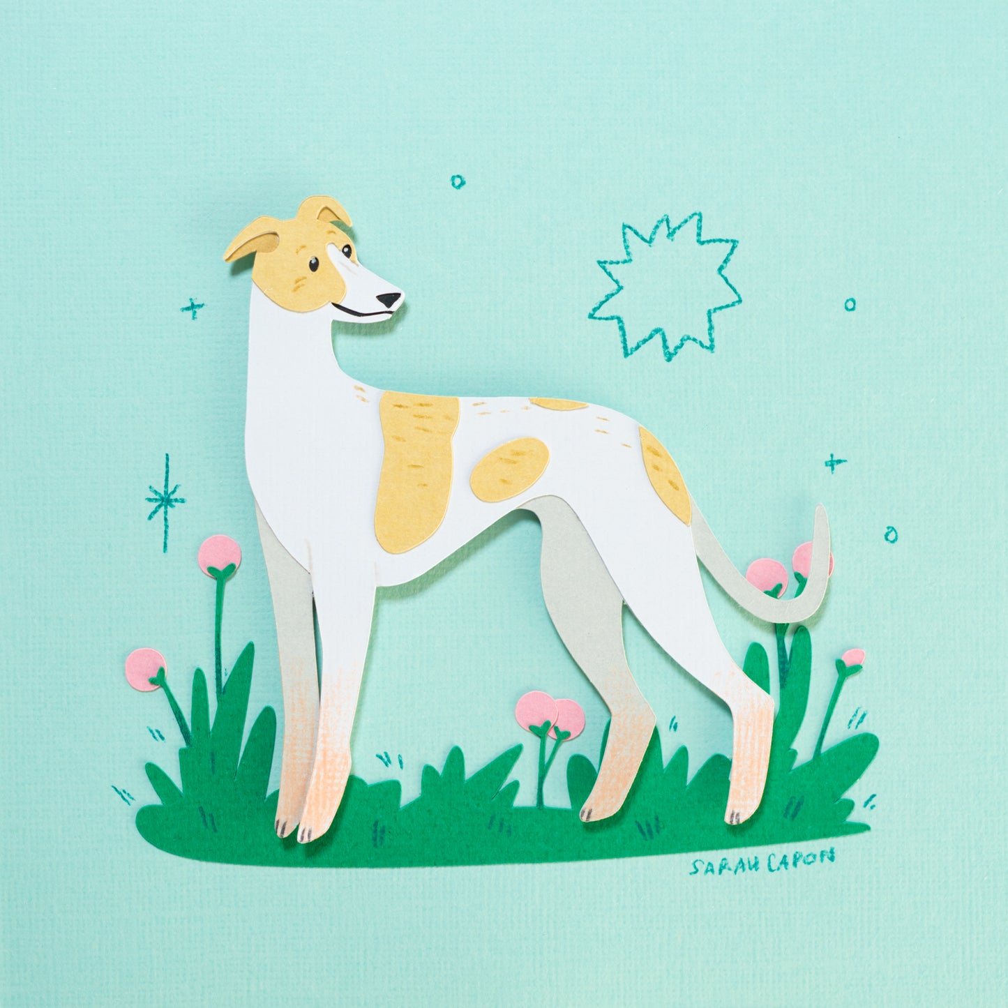 Greyhounds