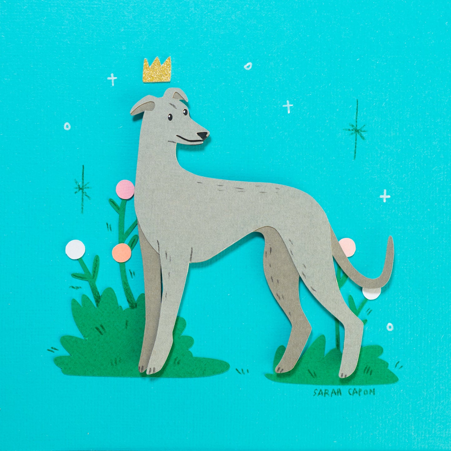 Greyhounds