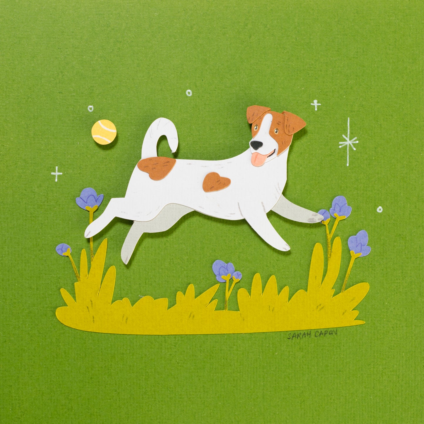Jack Russells