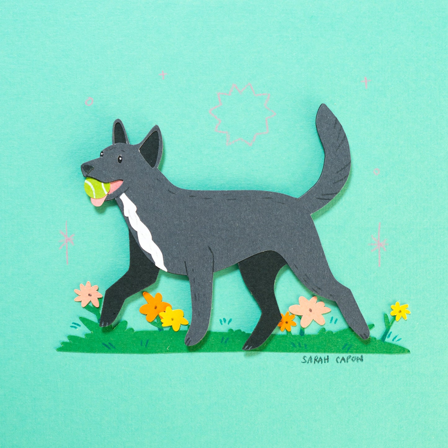 Australian Kelpies