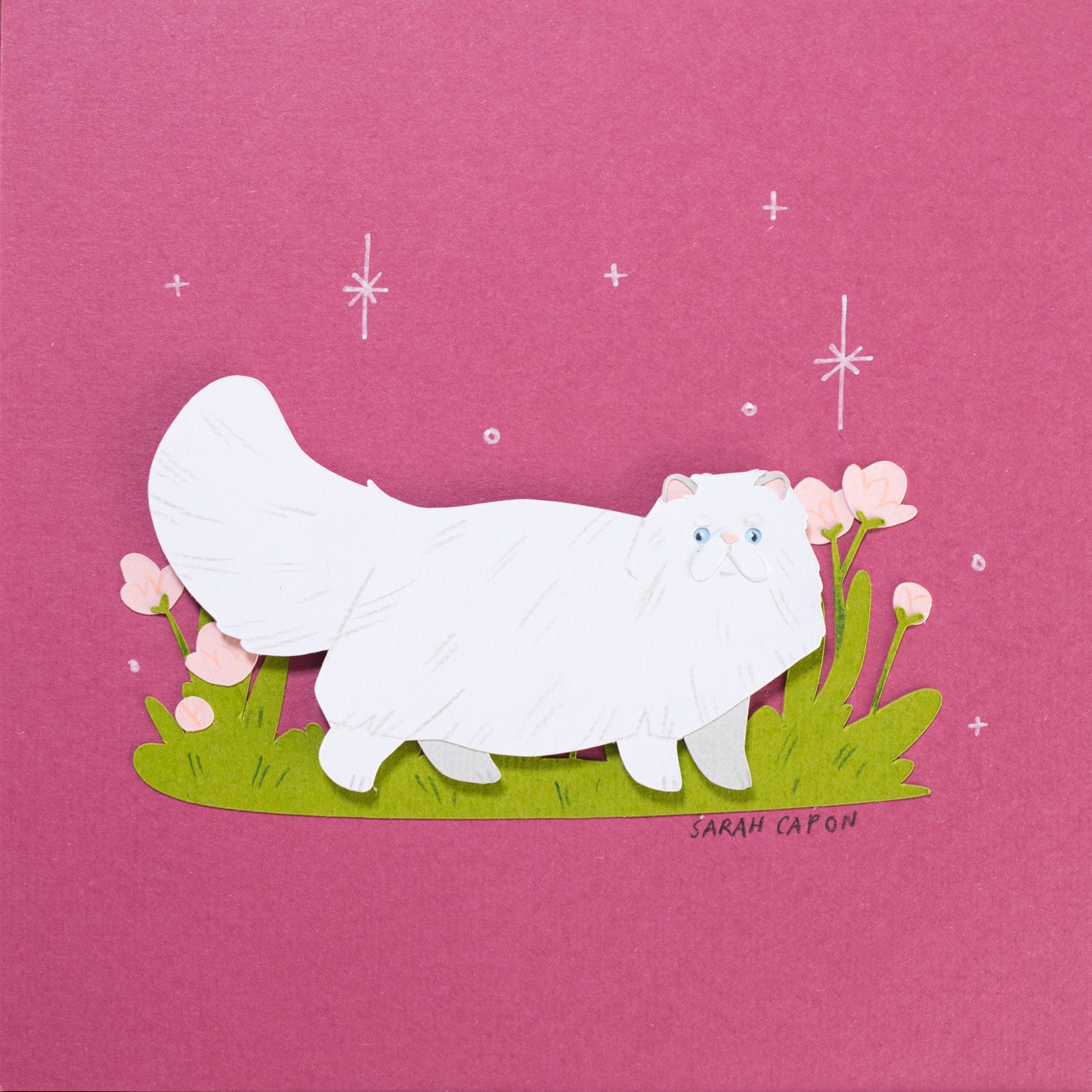 Persian Cat (Last one!)