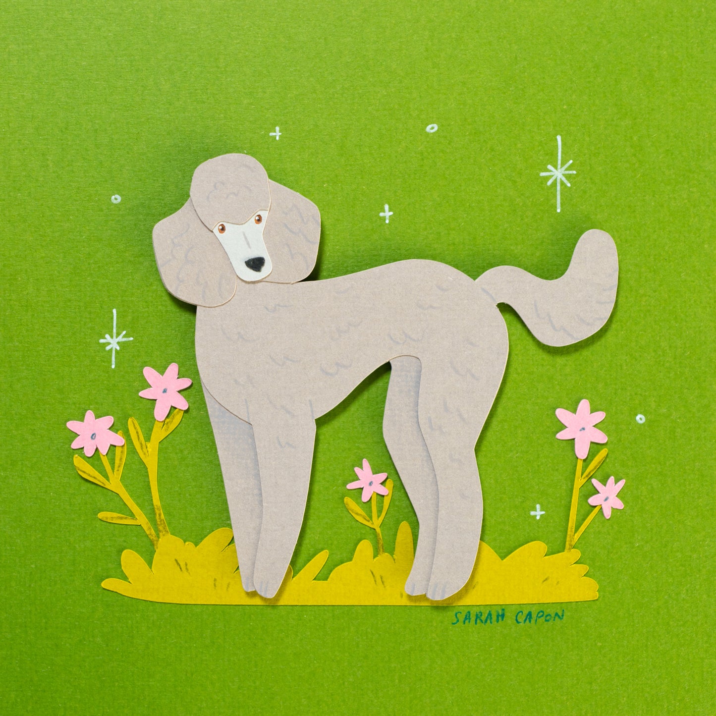 Poodles