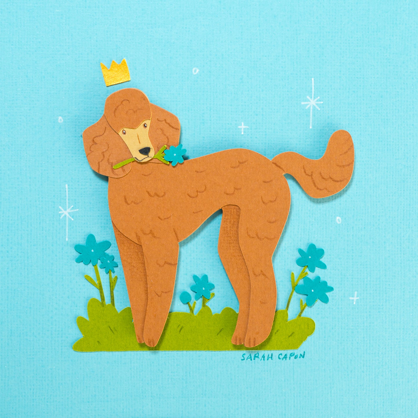 Poodles