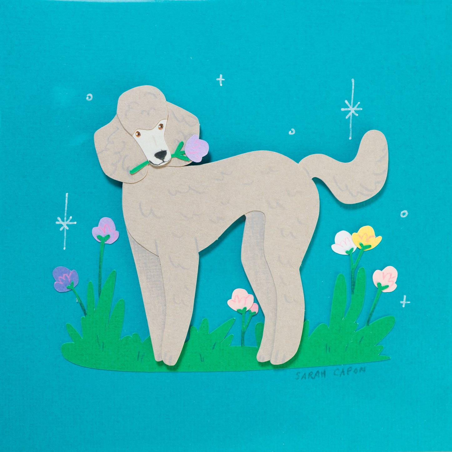 Poodles