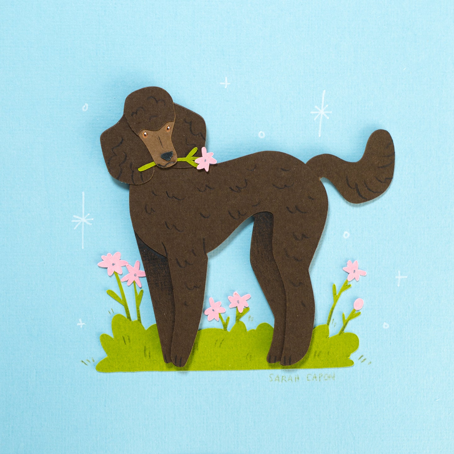 Poodles
