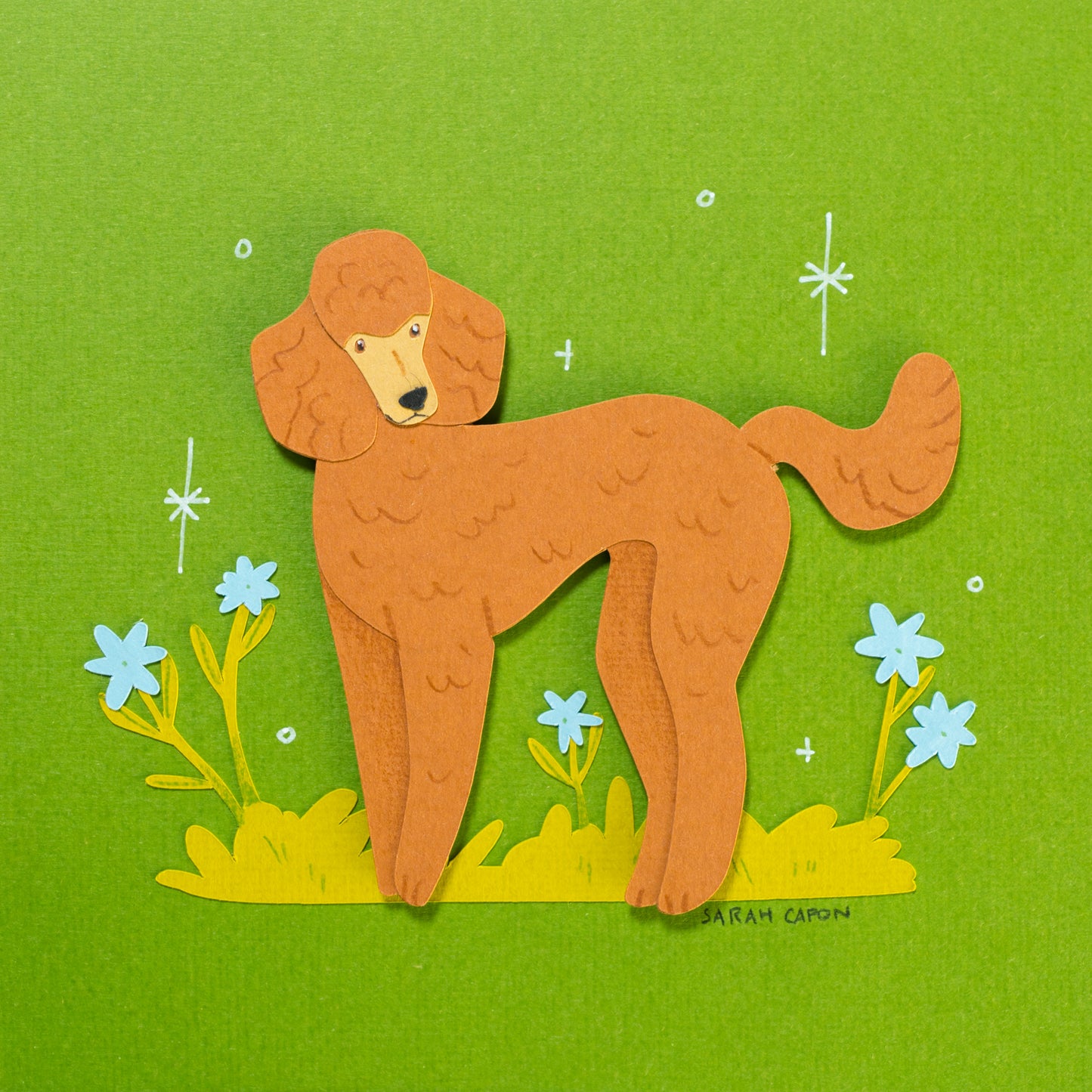 Poodles