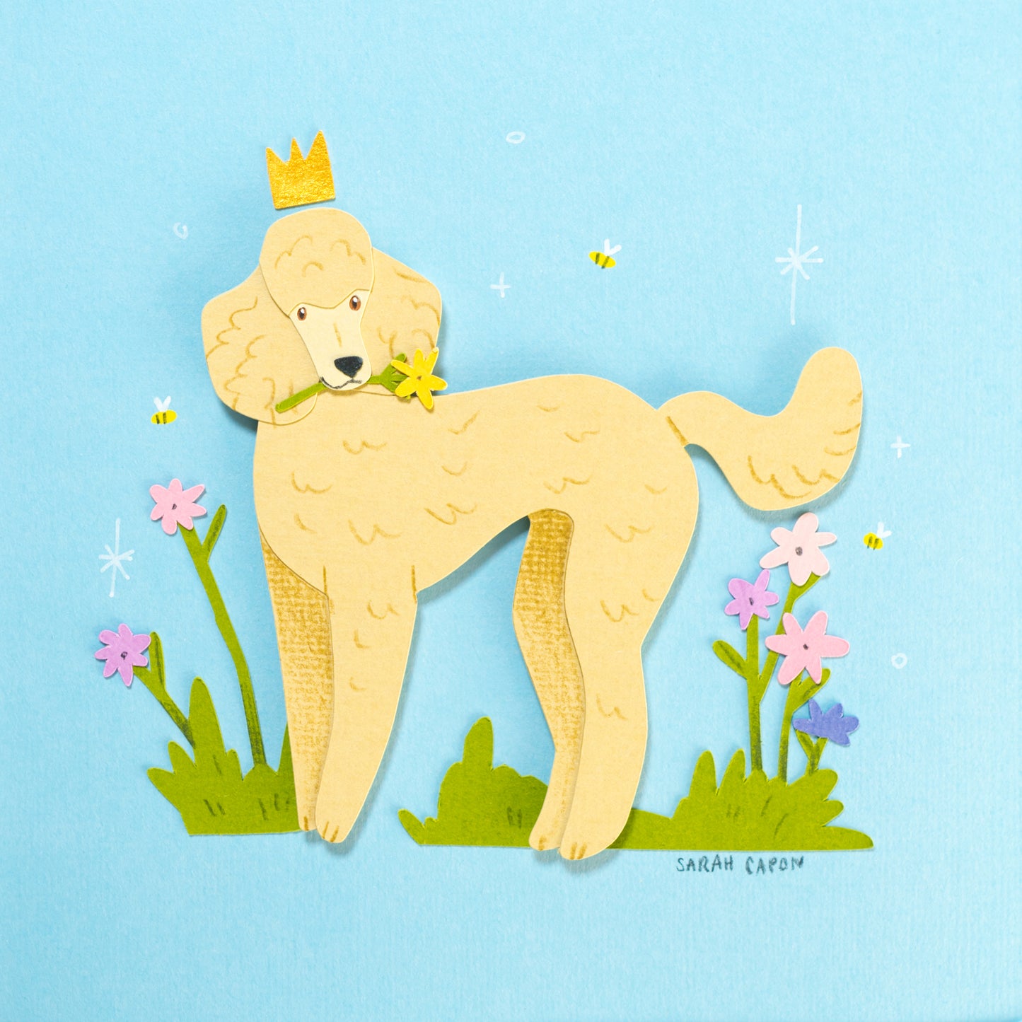 Poodles