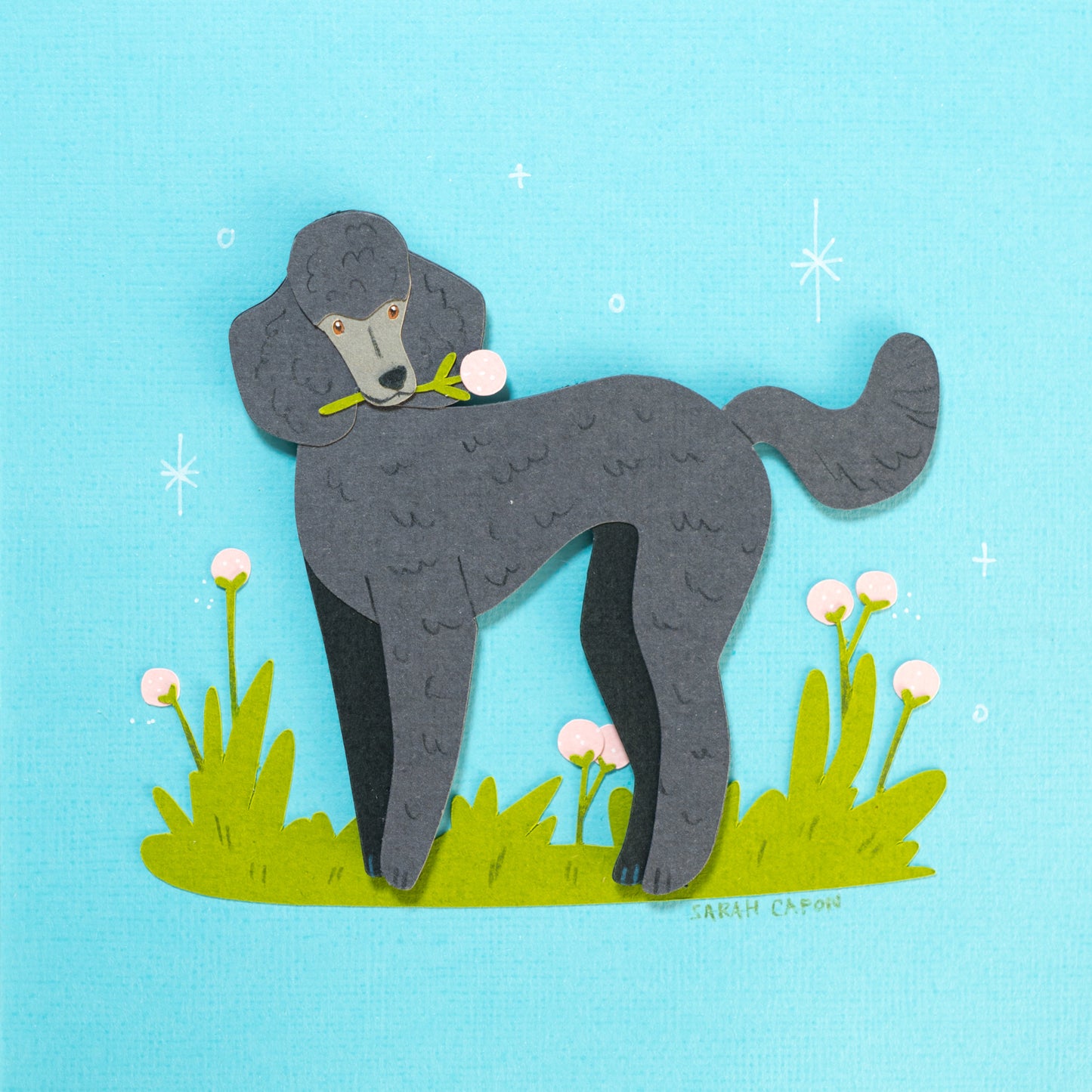 Poodles