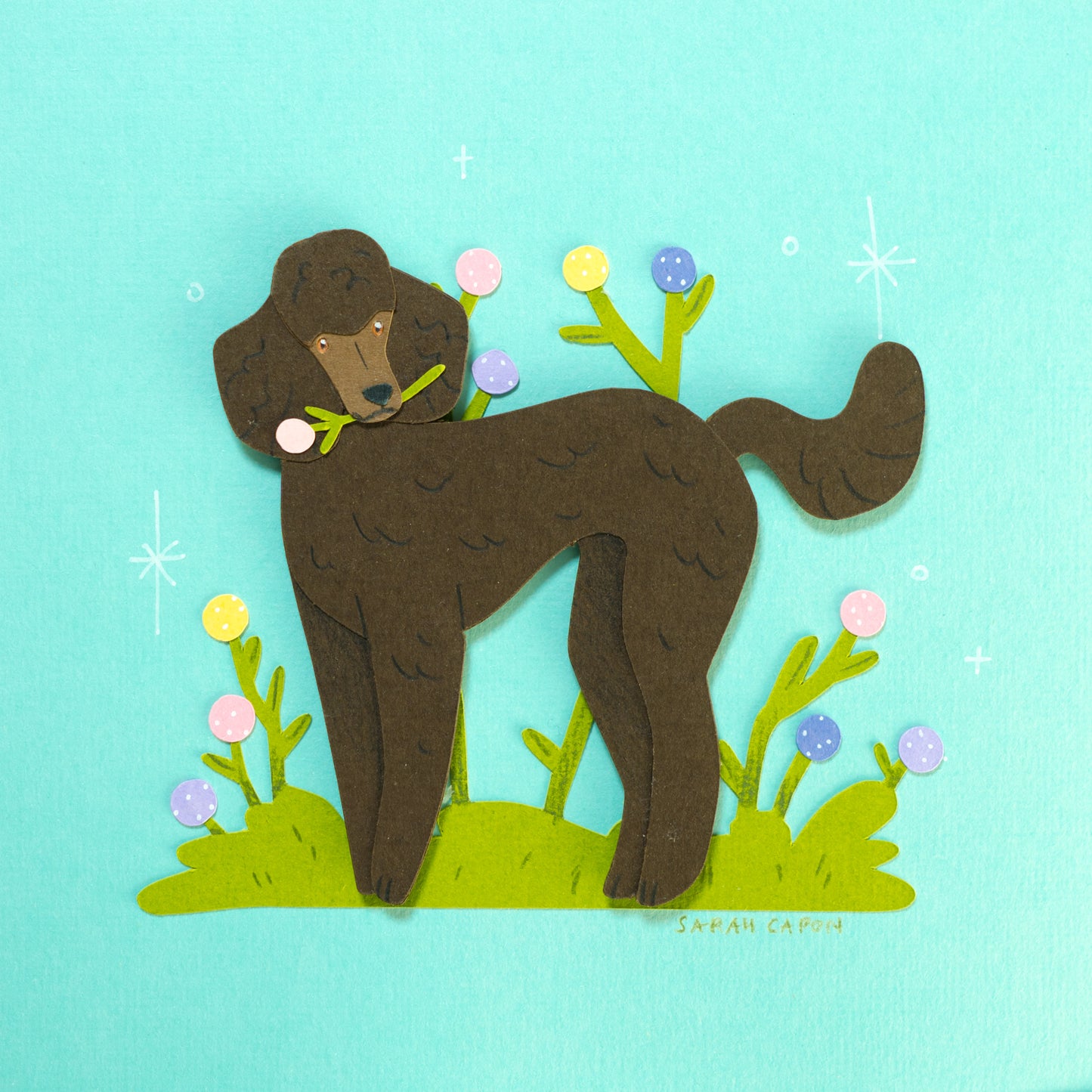Poodles