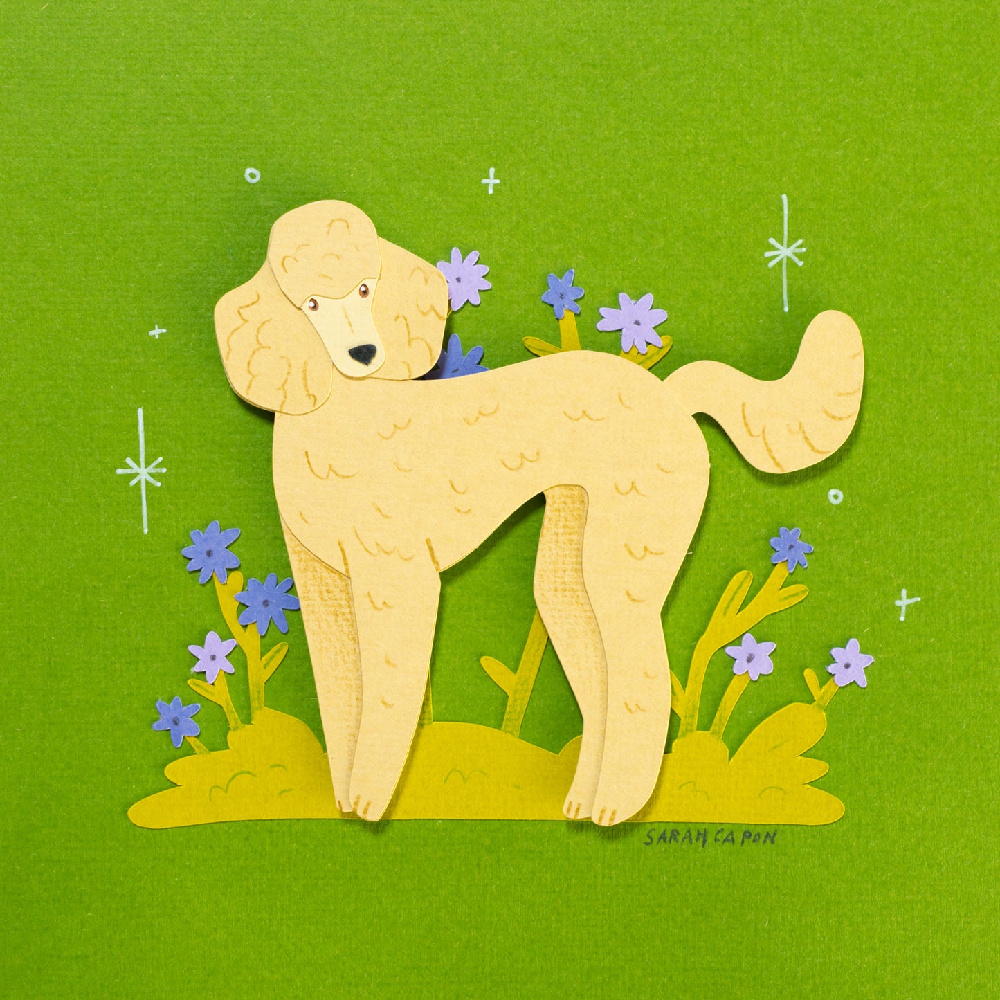 Poodles