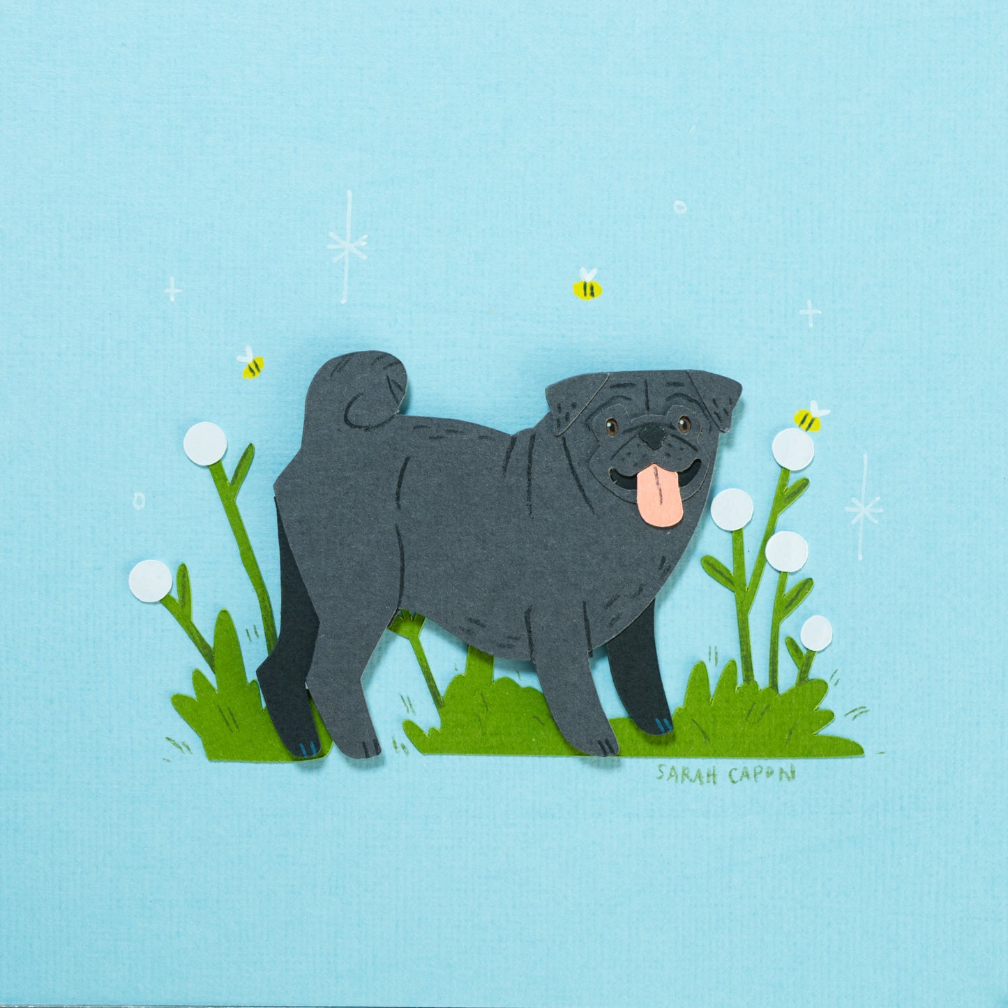 Pugs