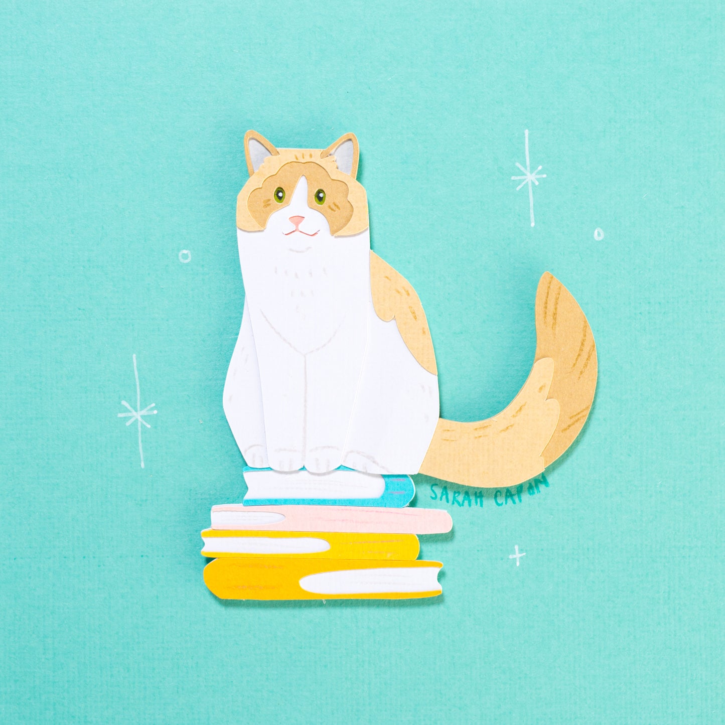Ragdolls on Books