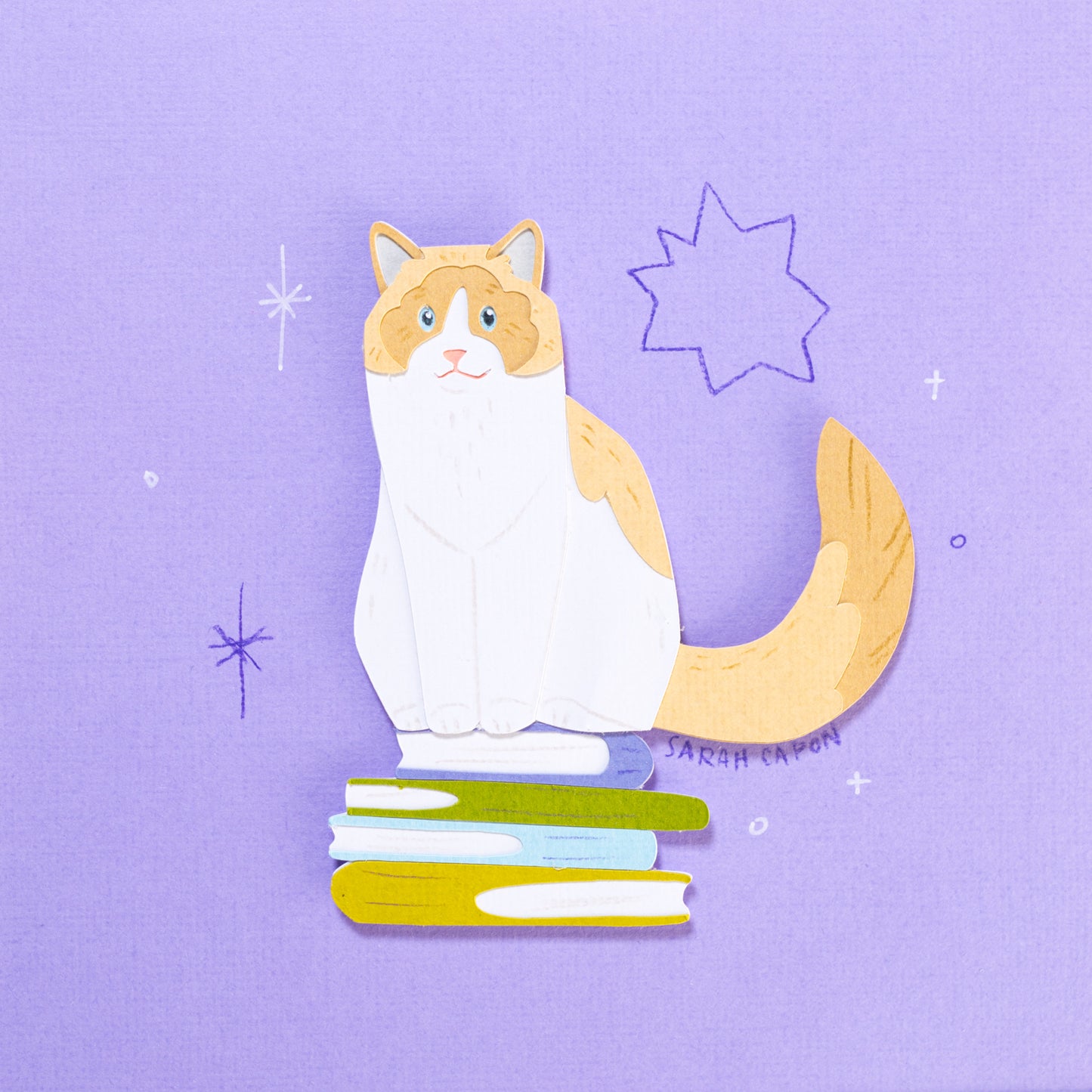 Ragdolls on Books