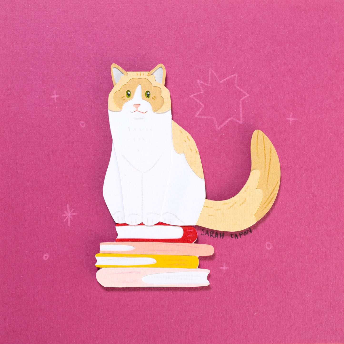 Ragdolls on Books