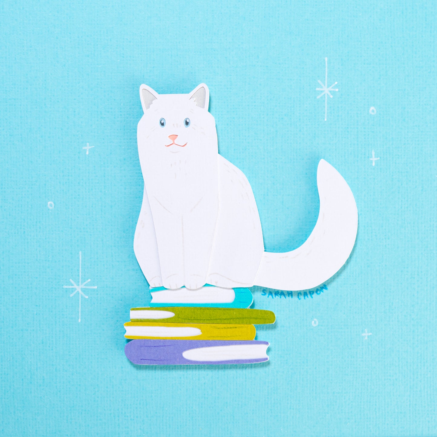 Ragdolls on Books