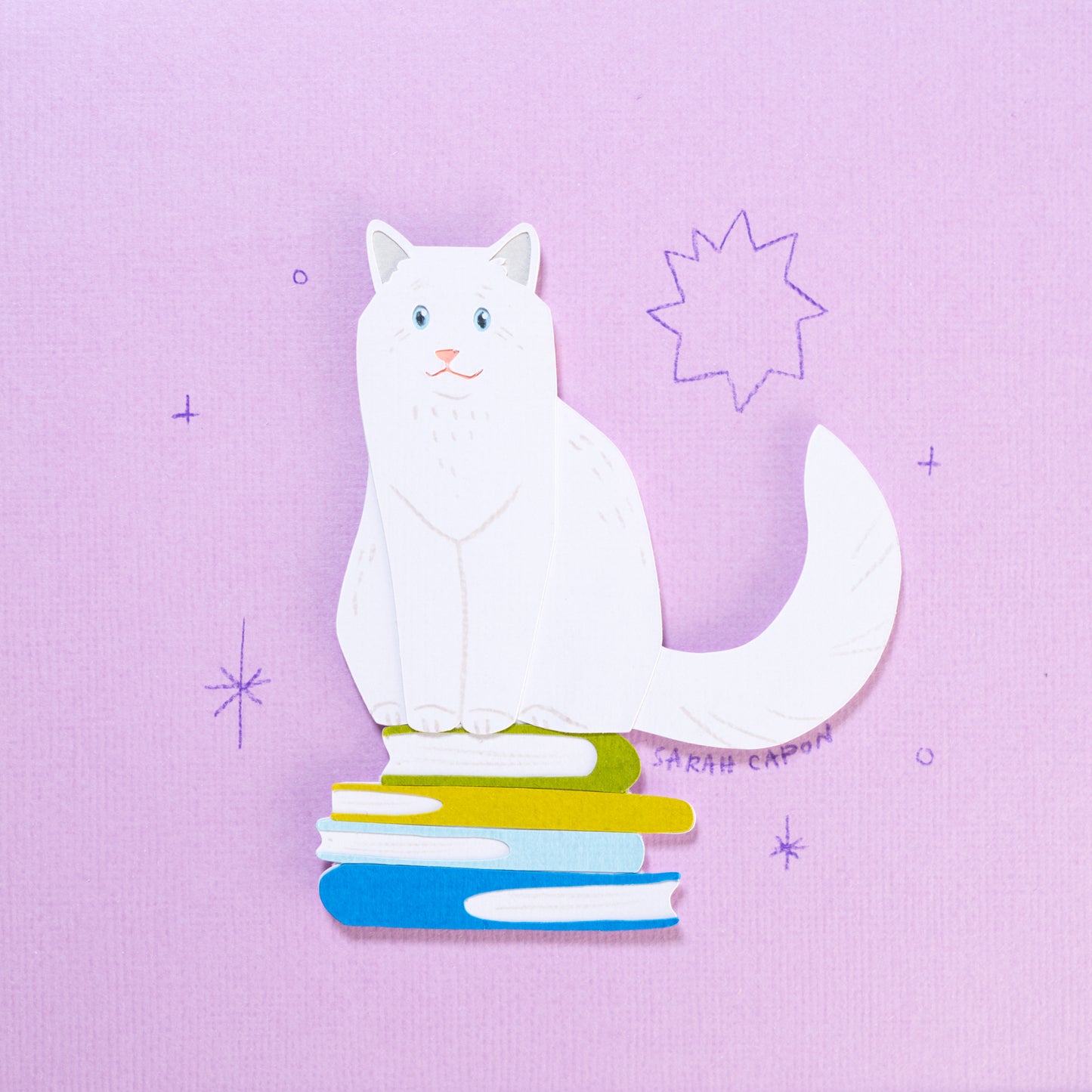 Ragdolls on Books