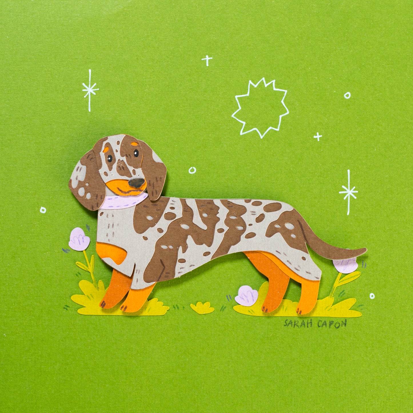 Sausage Dogs