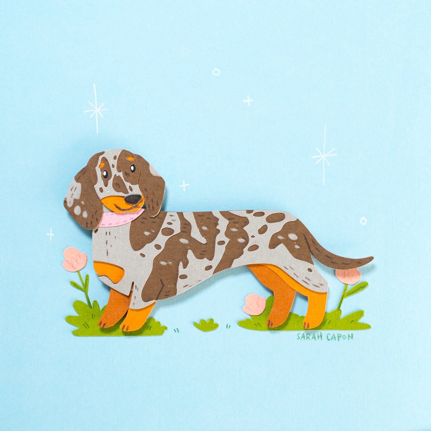 Sausage Dogs