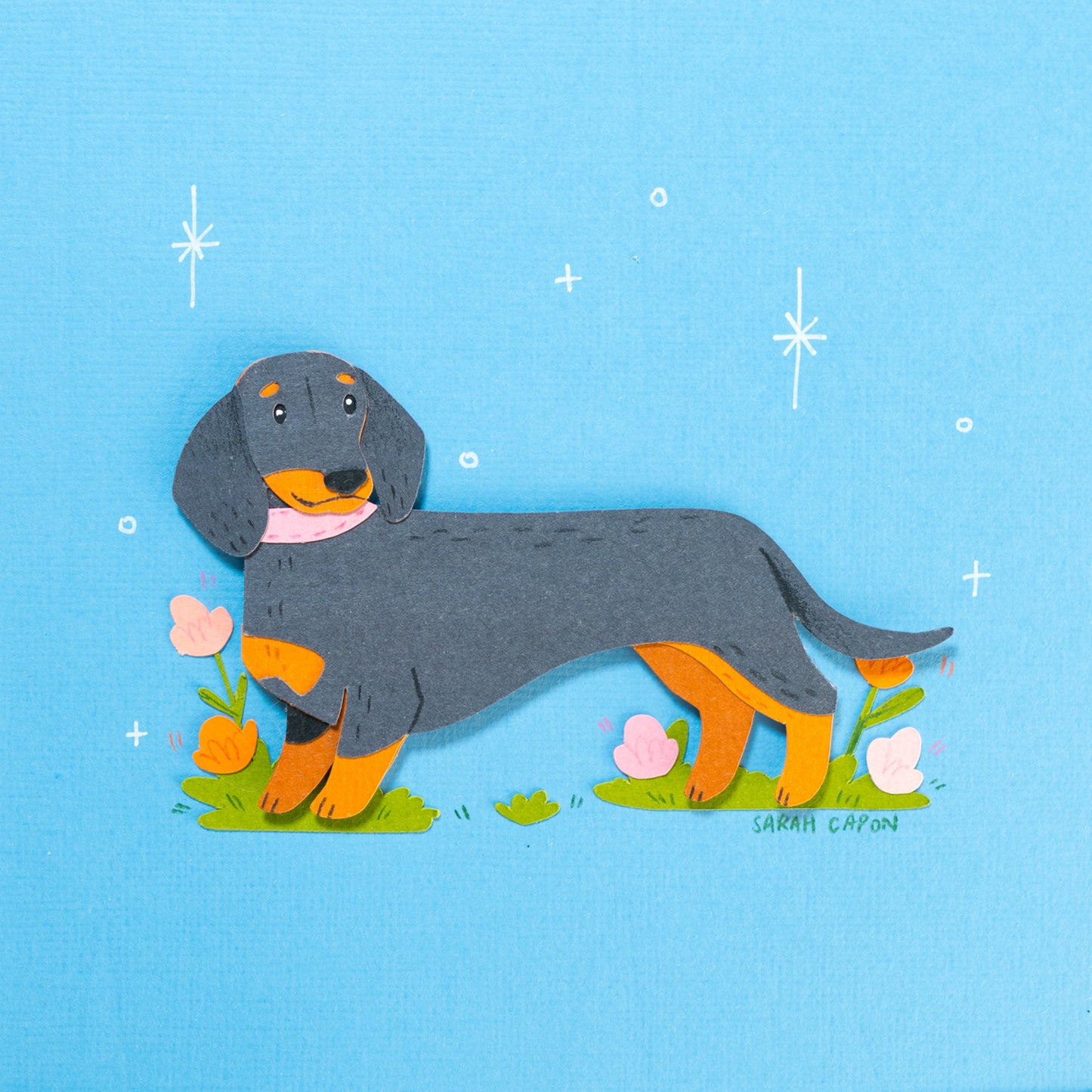 Sausage Dogs