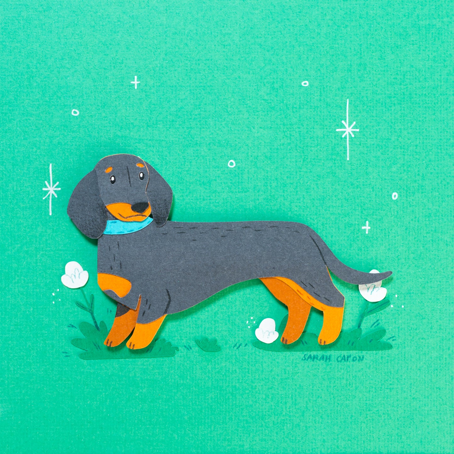 Sausage Dogs