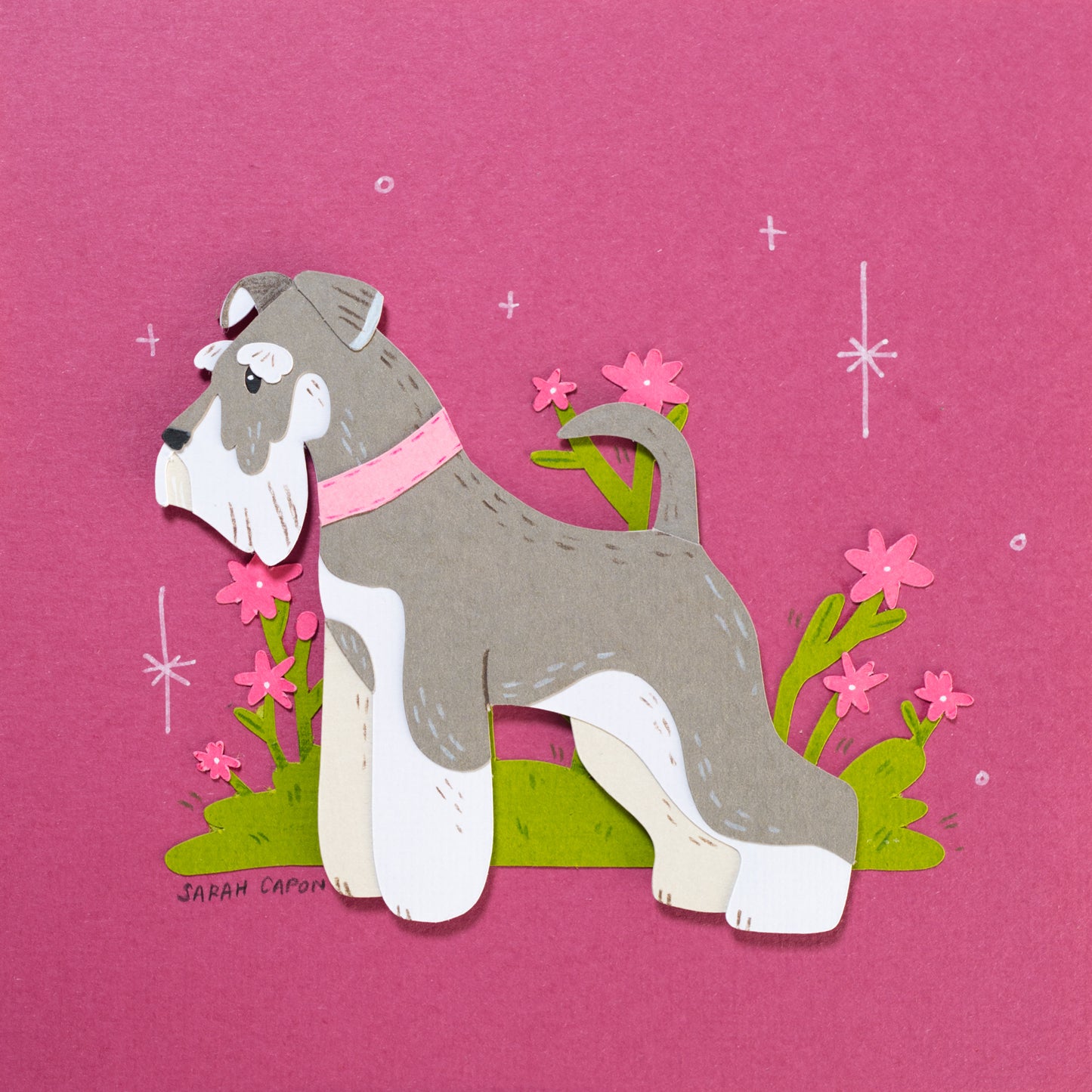 Schnauzers