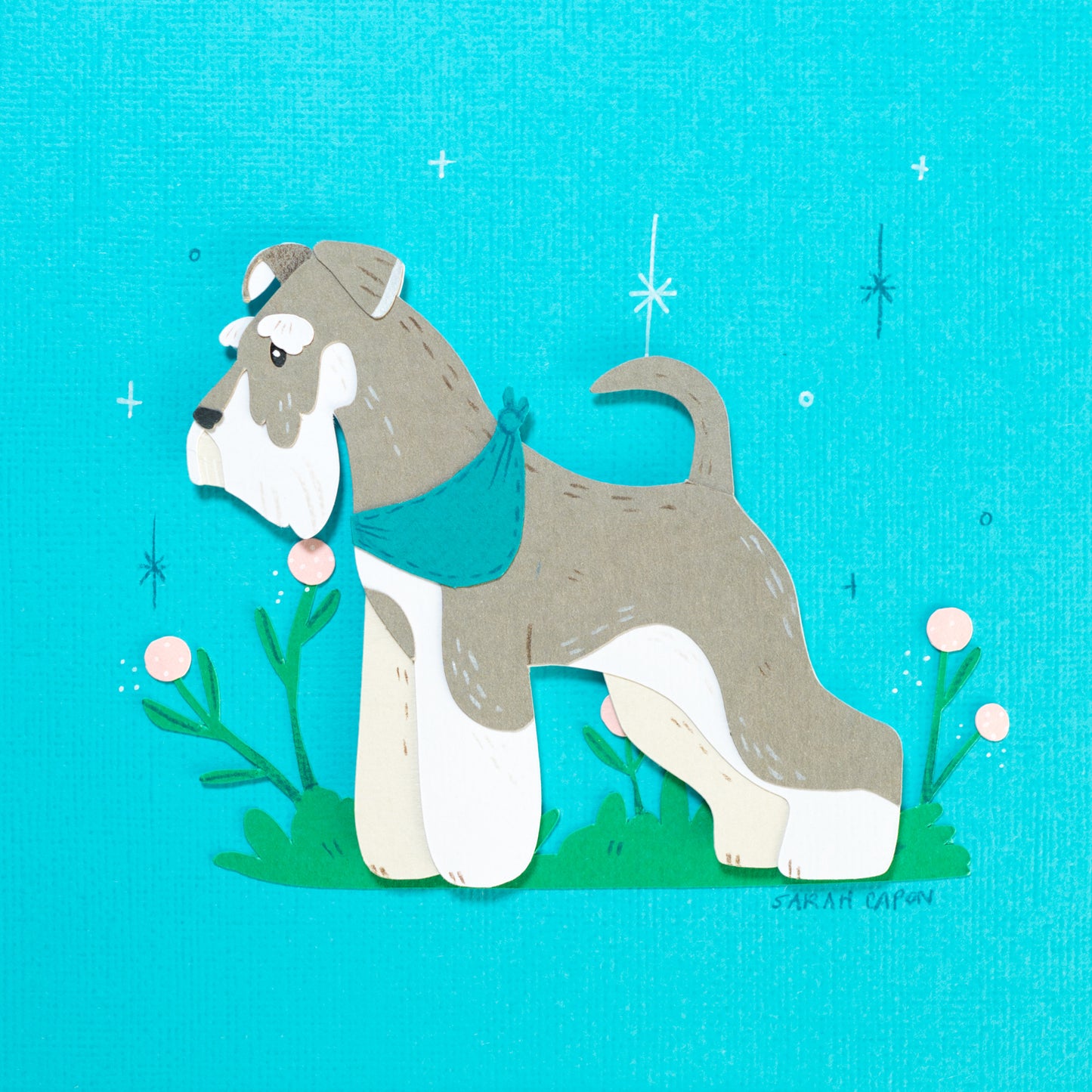 Schnauzers