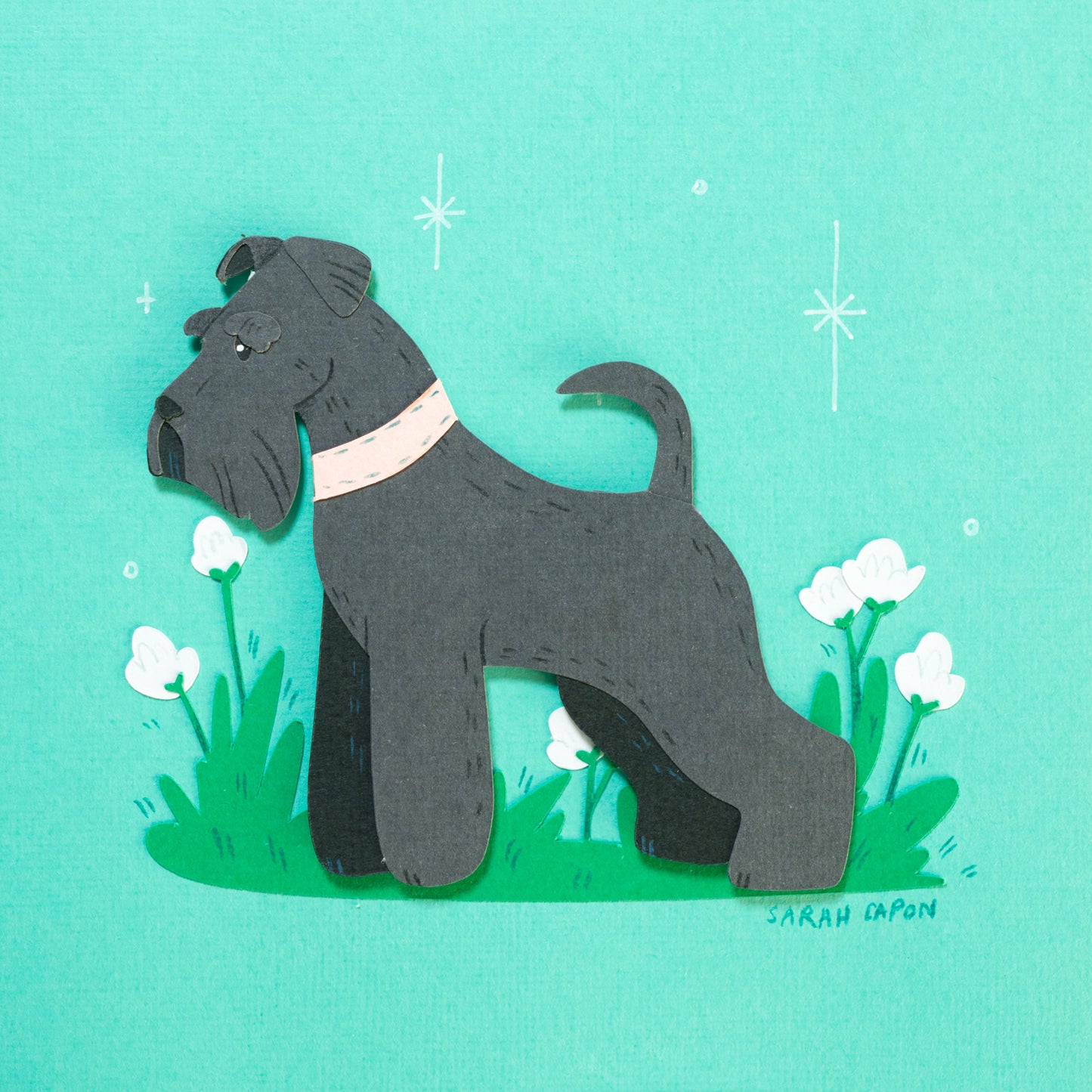 Schnauzers