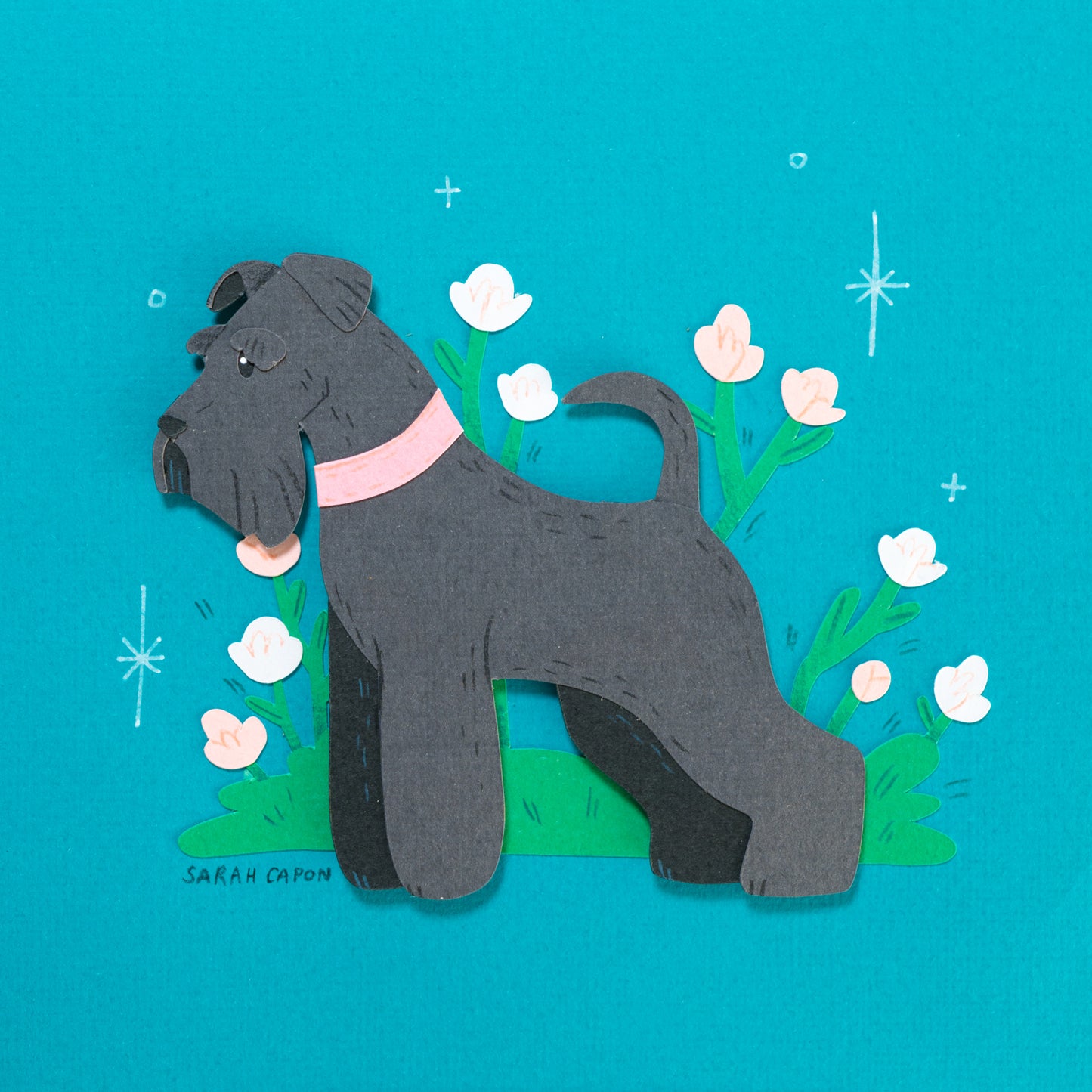 Schnauzers