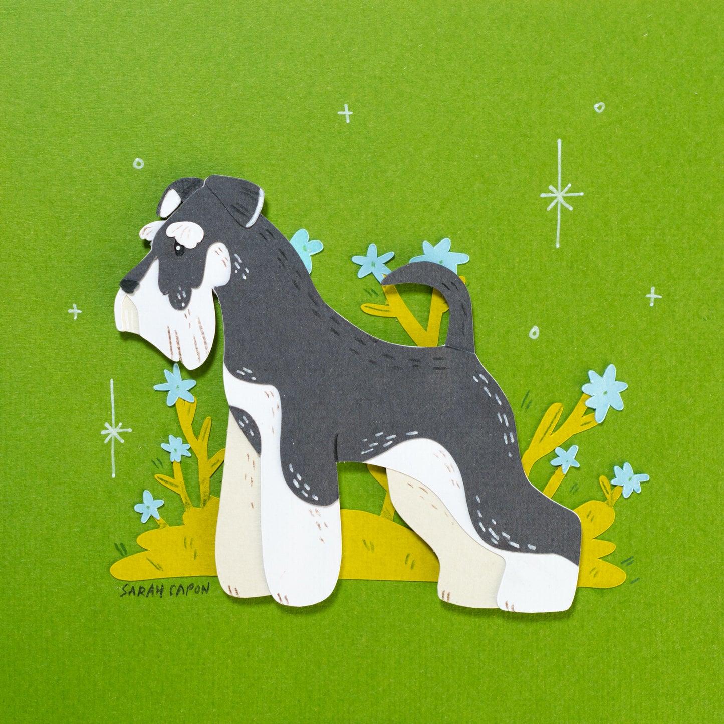 Schnauzers