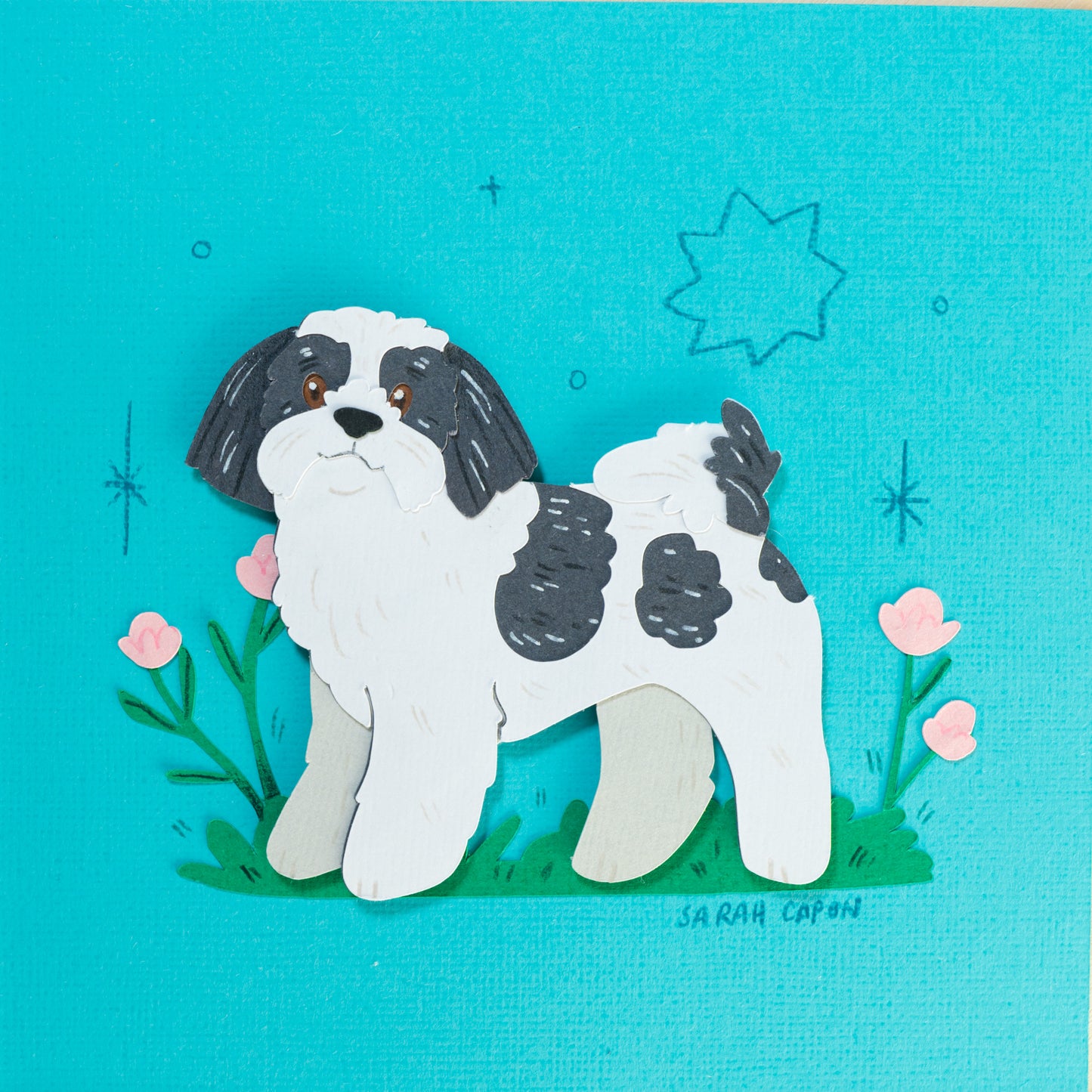 Shih Tzus