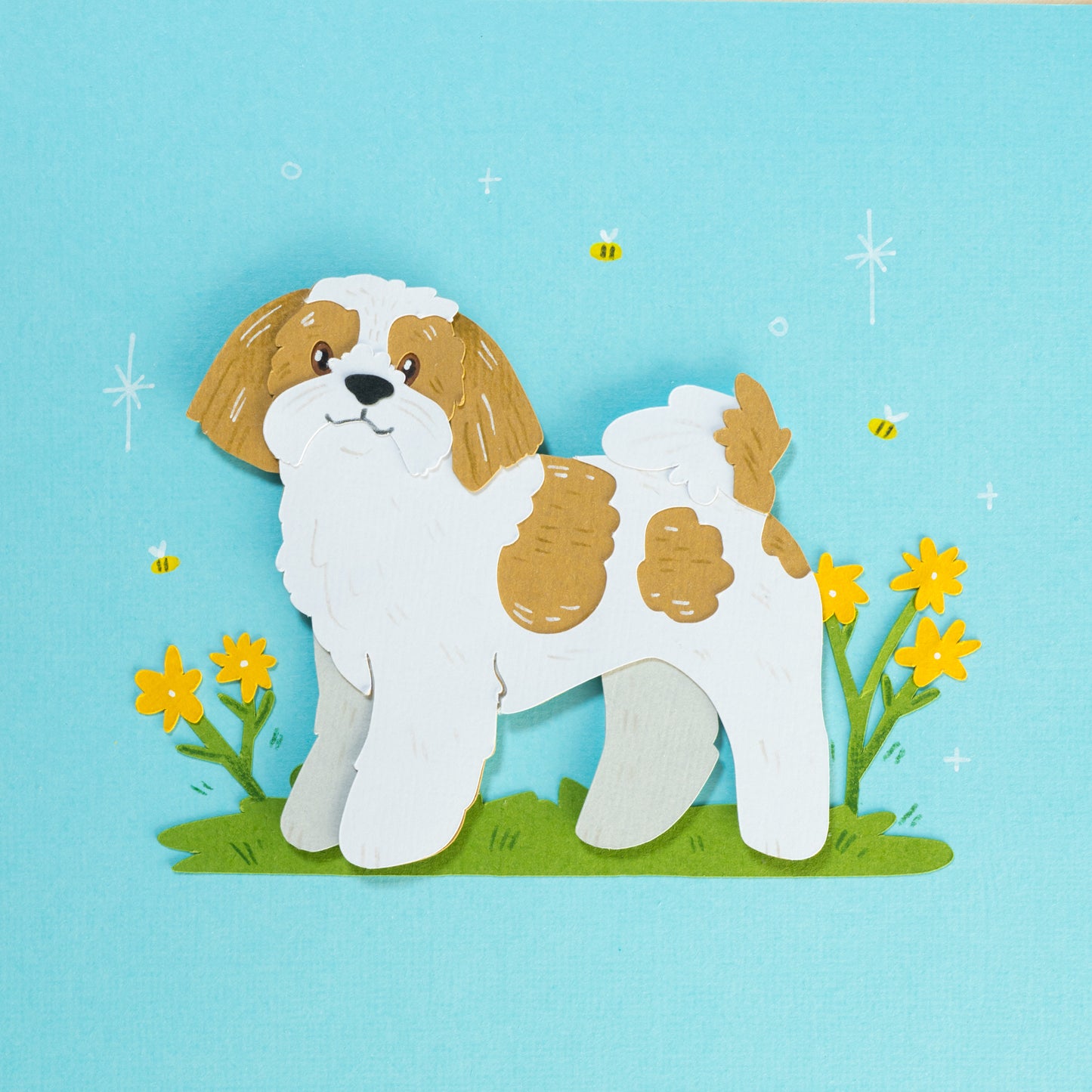 Shih Tzus