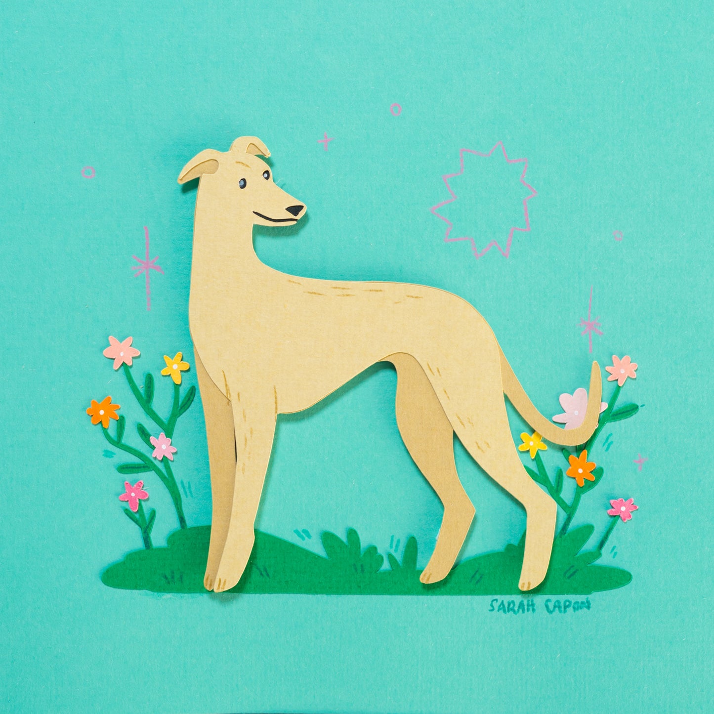 Greyhounds
