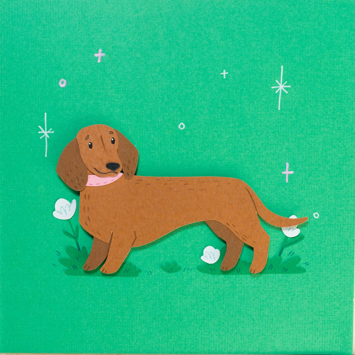 Sausage Dogs
