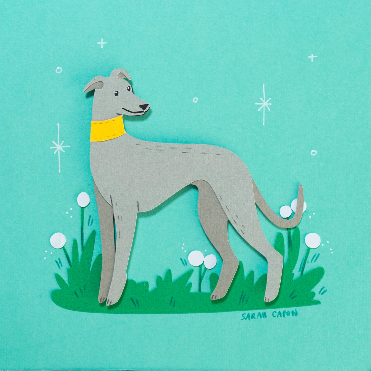 Greyhounds