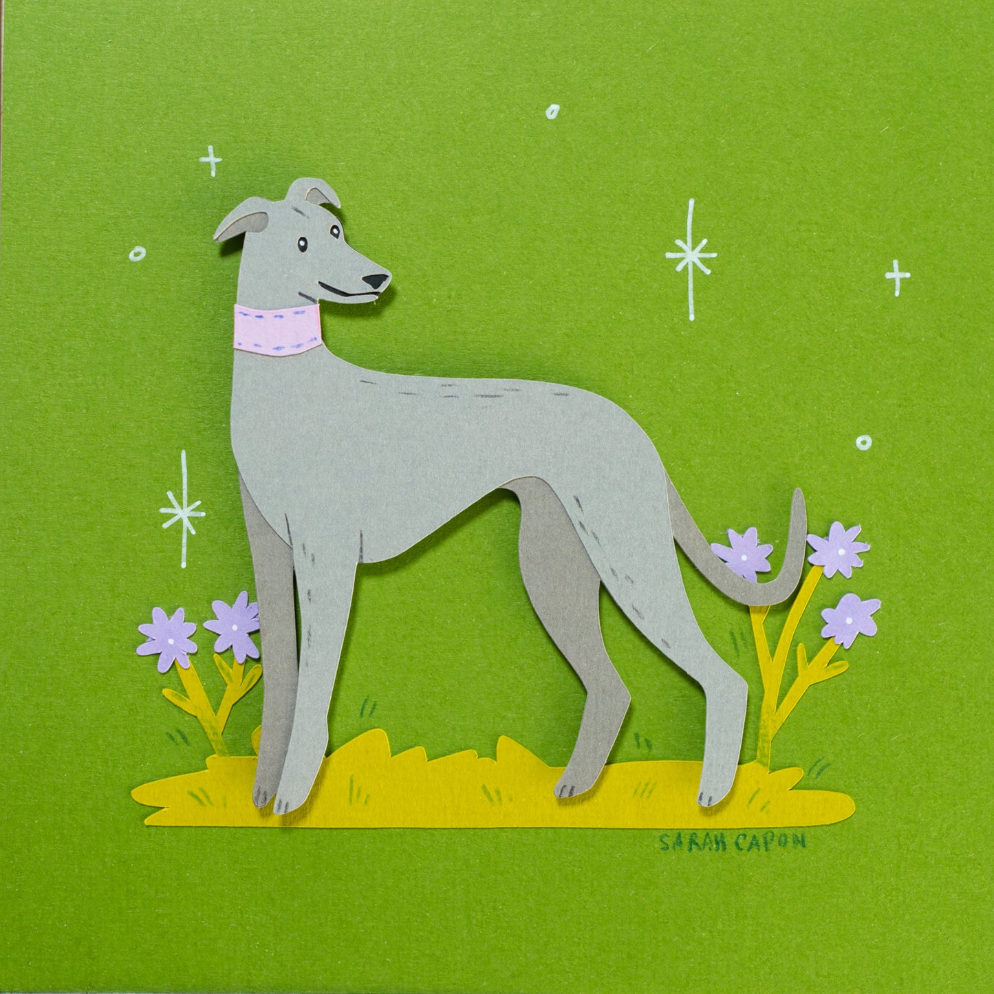 Greyhounds