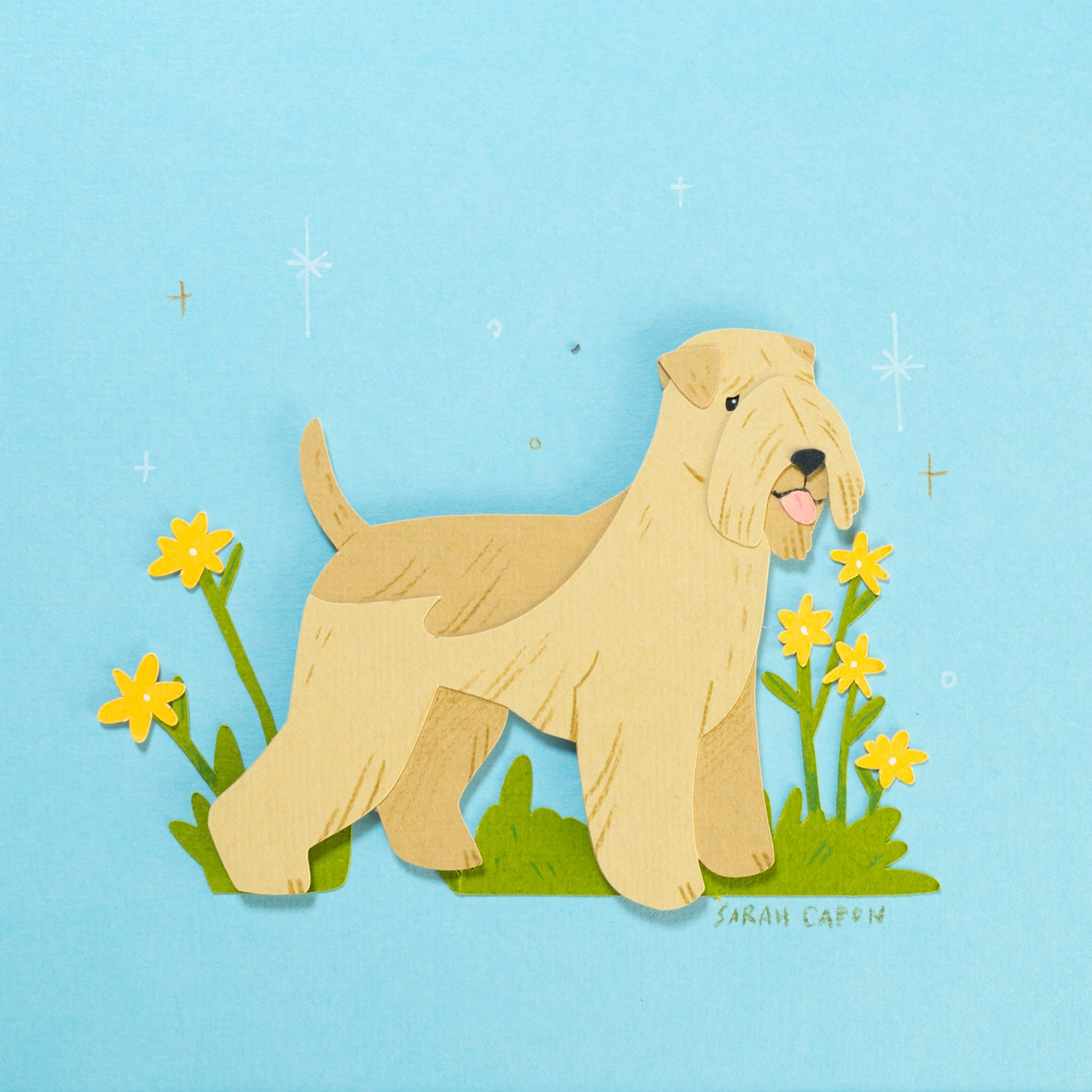 Wheaten Terriers