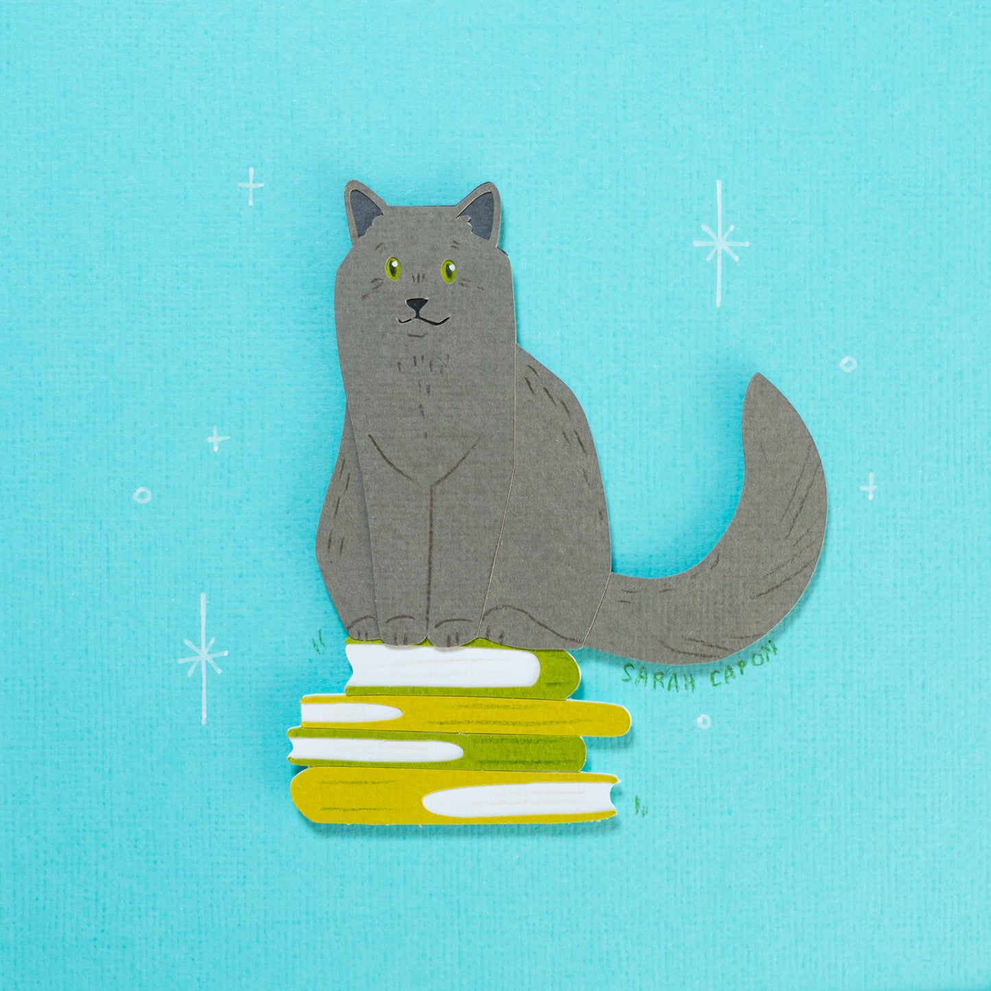 Grey Cats on Books