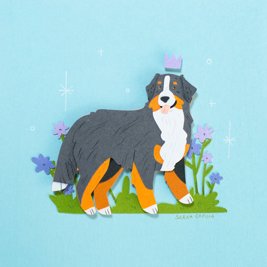 Bernese Mountain Dogs