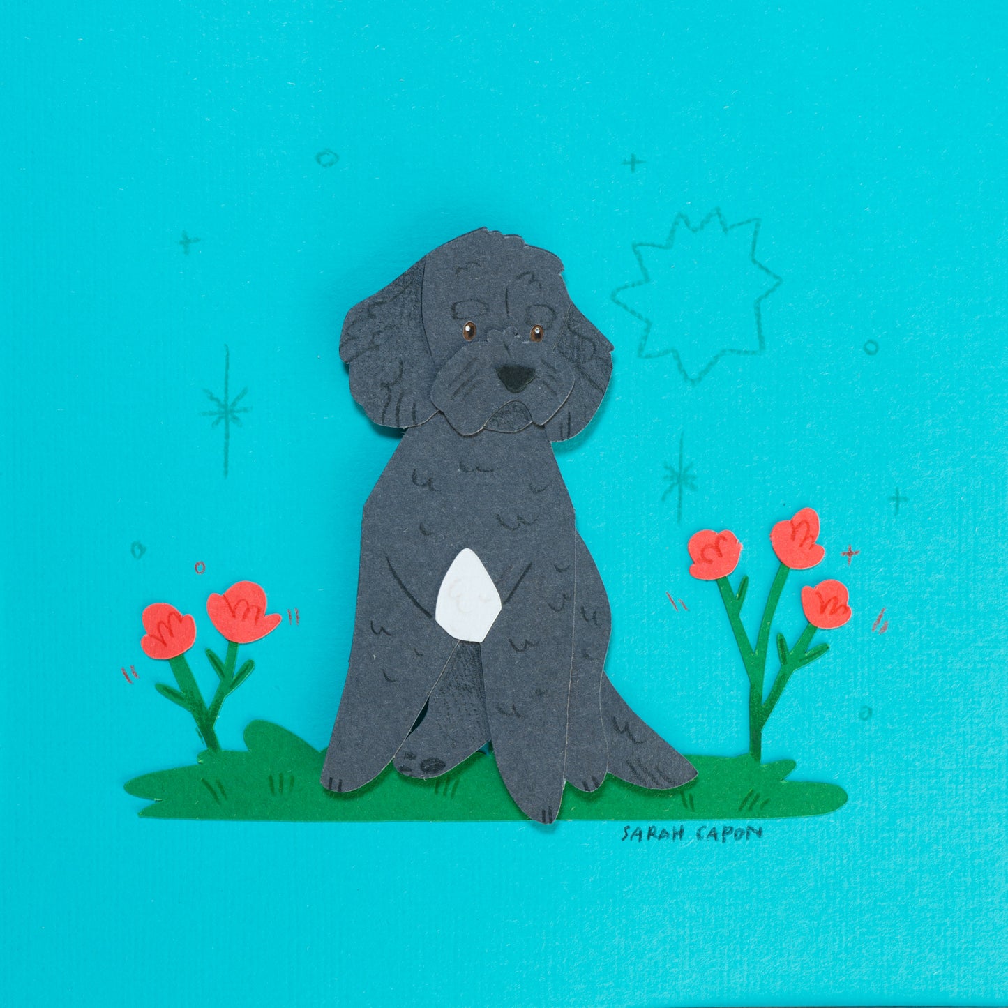 Small Poodle / Oodle
