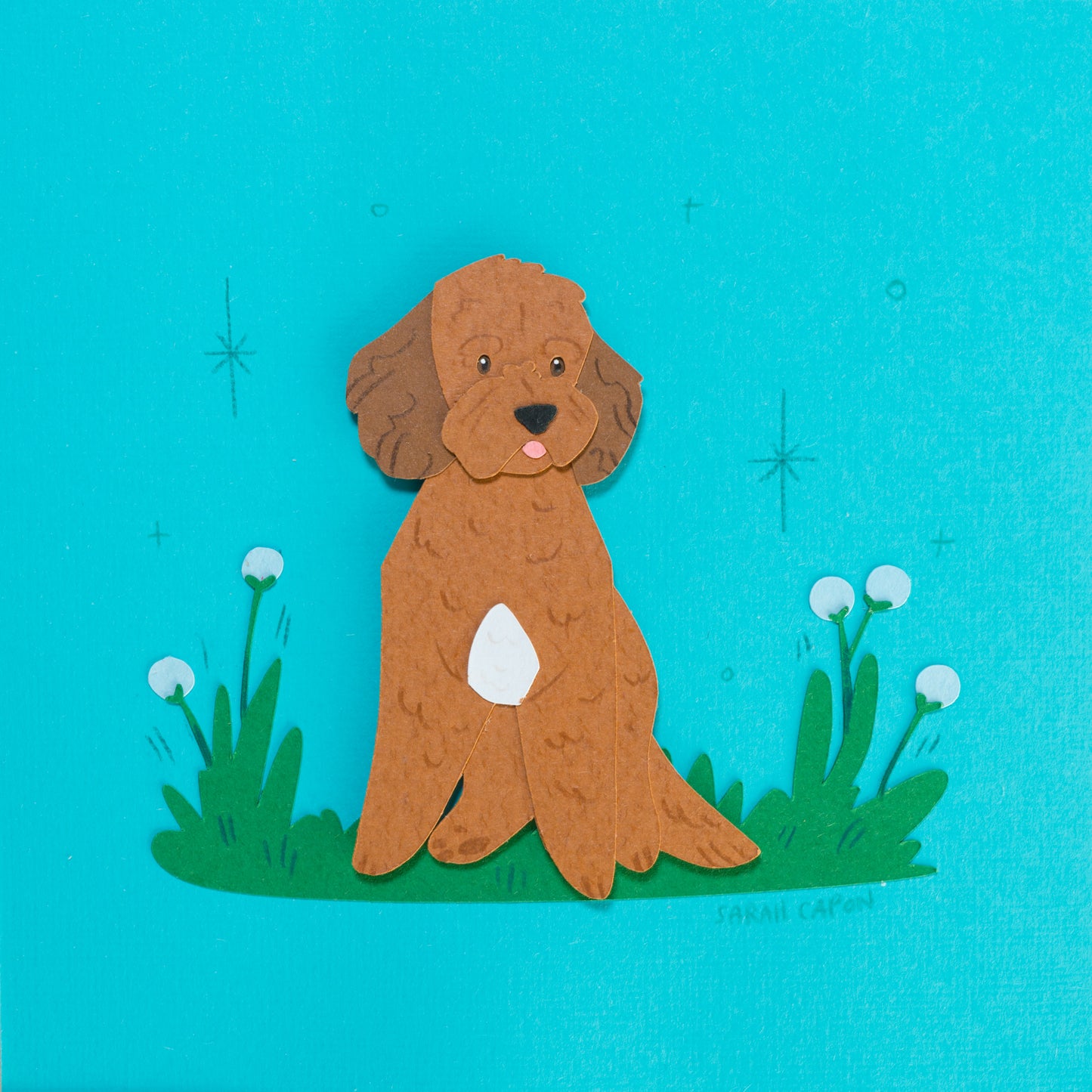 Small Poodle / Oodle