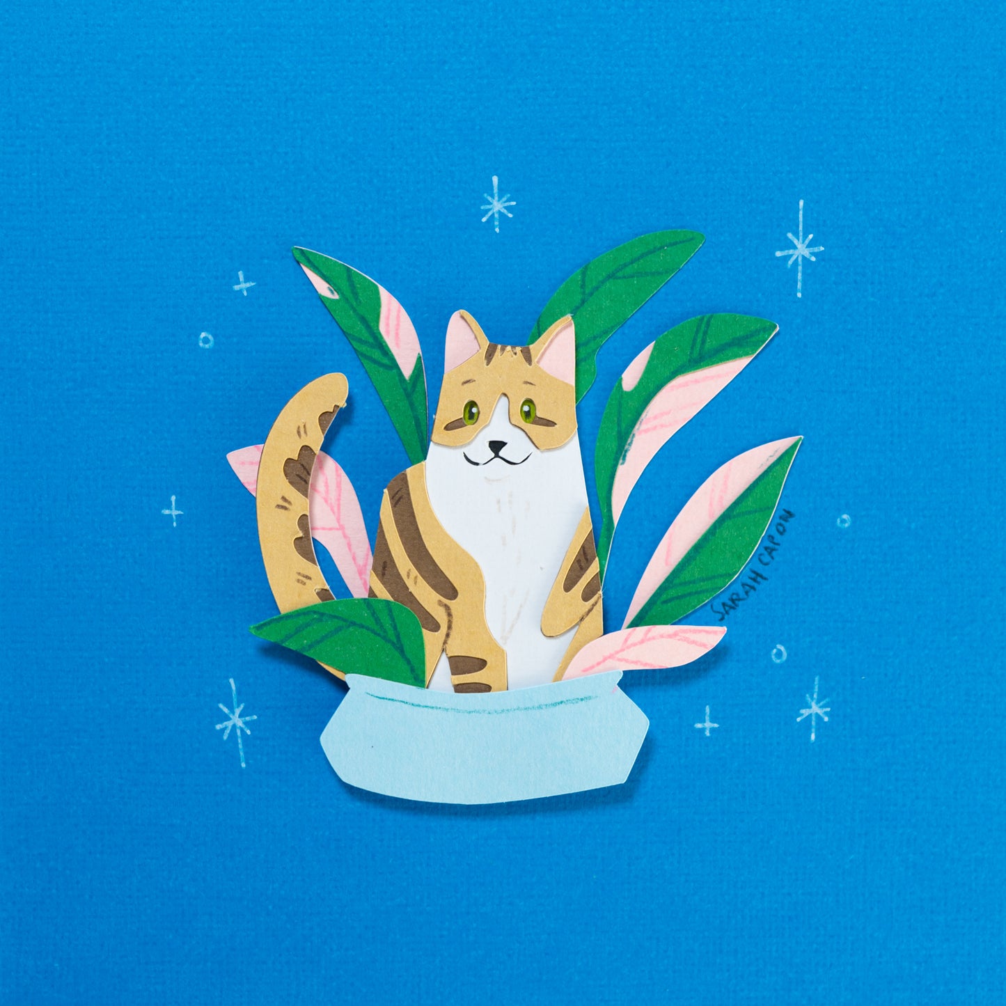 Tabby Cats in Plants