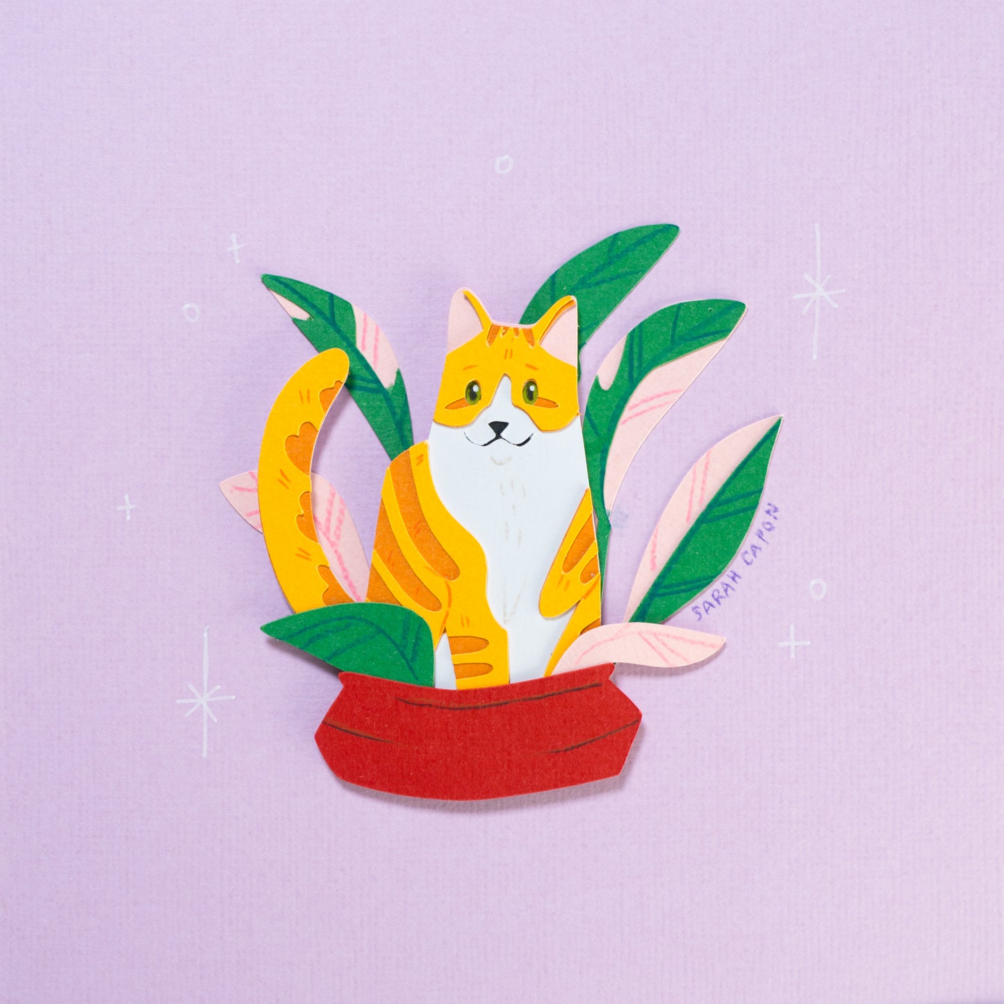 Tabby Cats in Plants