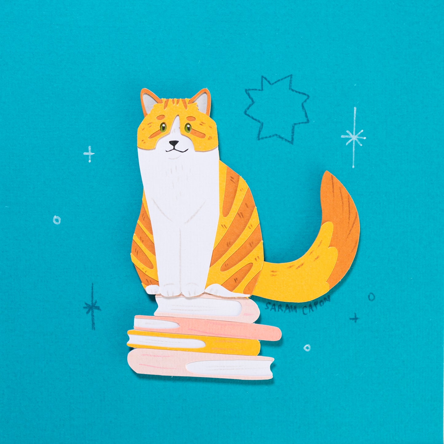 Tabby cats on Books
